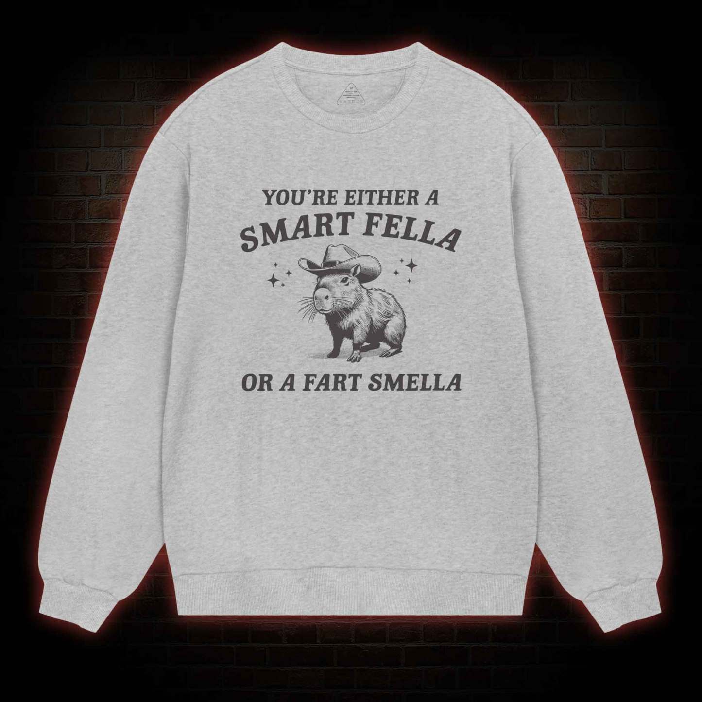 Smart Fella Or Fart Smella Sweatshirt