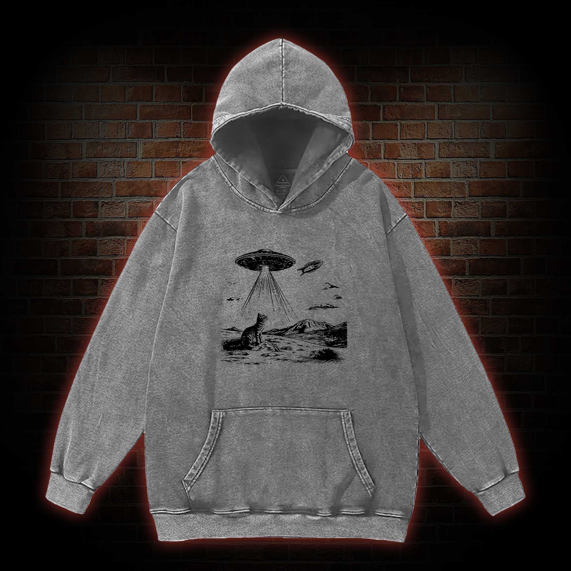 Ufo Cat Washed Hoodie