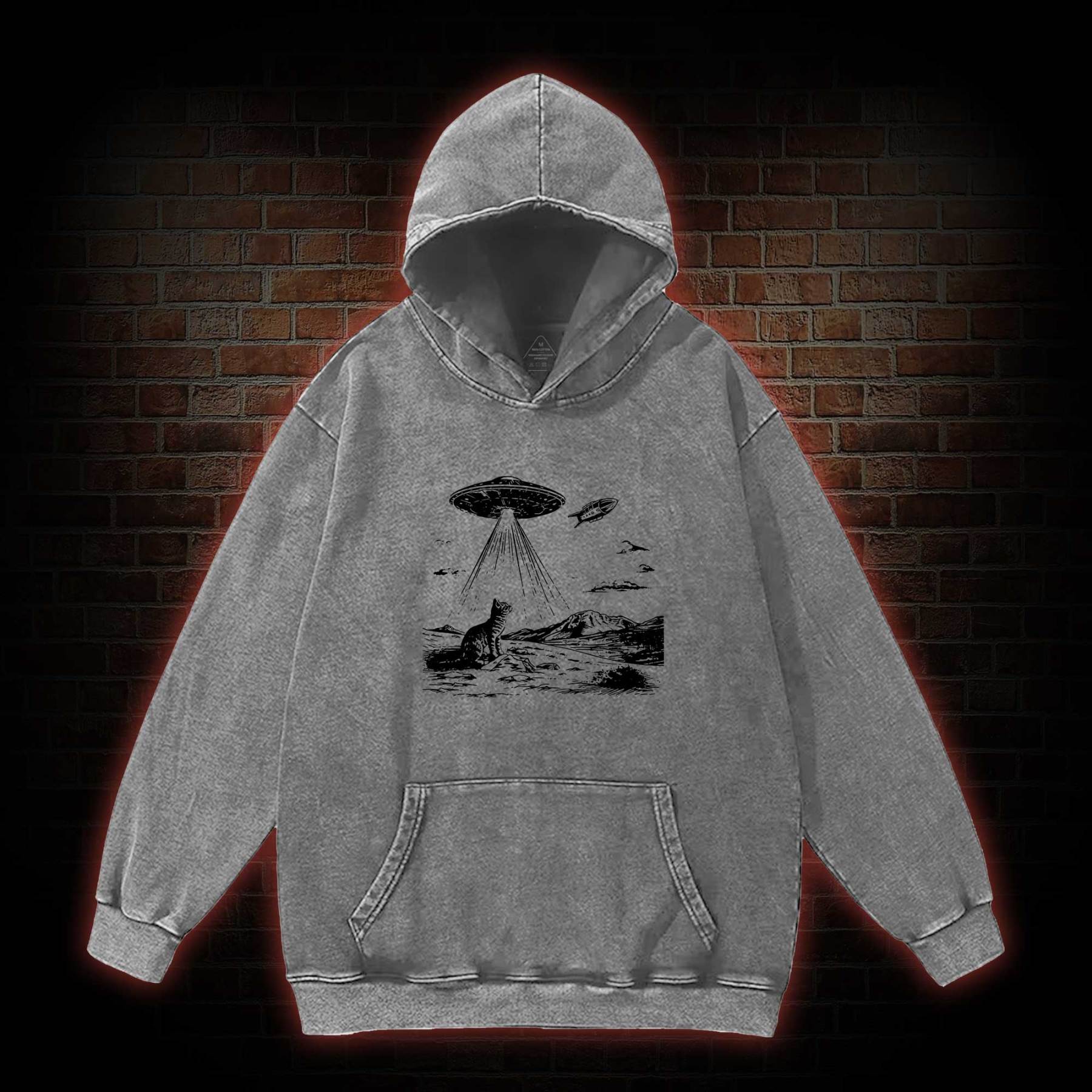Ufo Cat Washed Hoodie