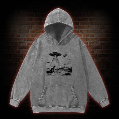 Ufo Cat Washed Hoodie