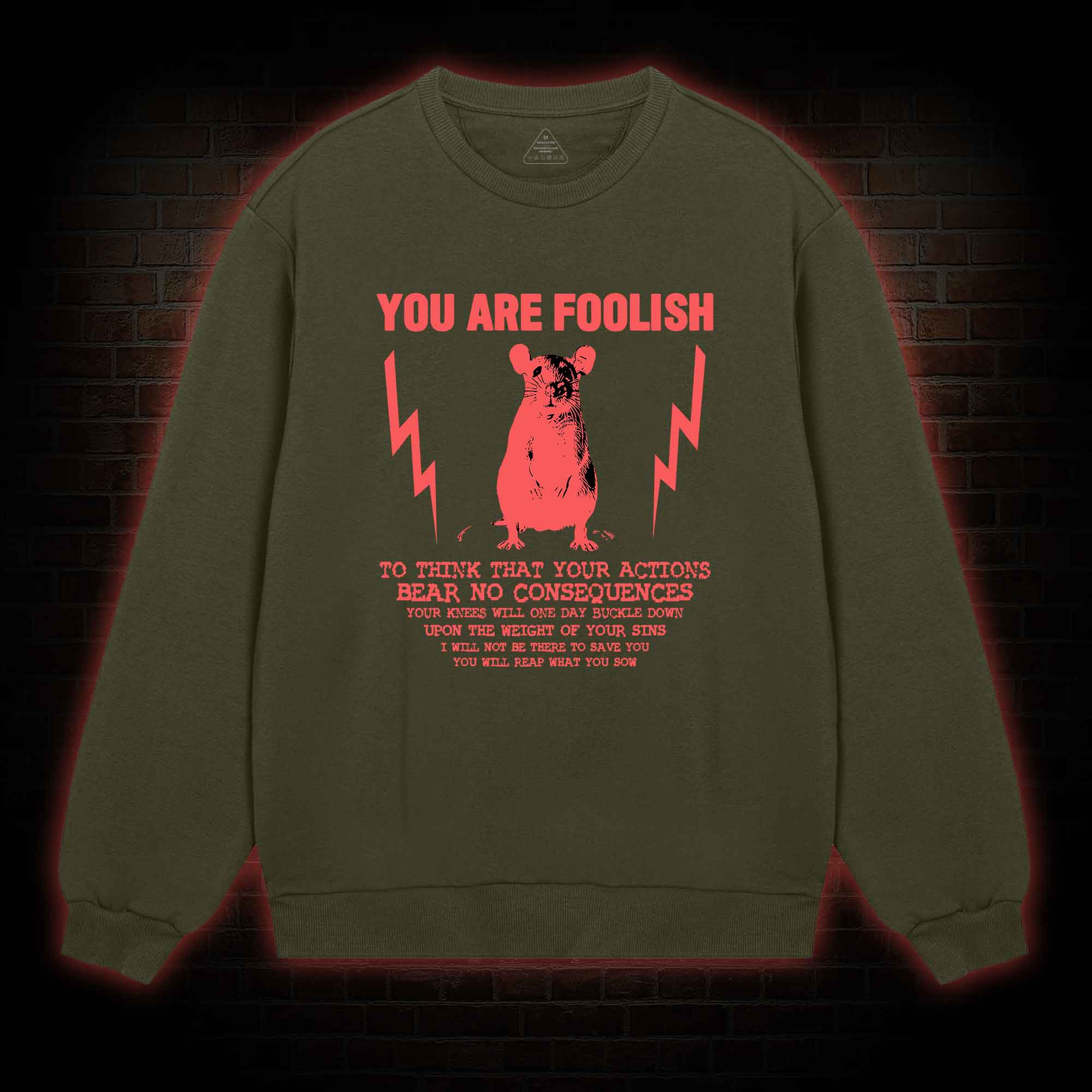 You Are Foolish Sweatshirt