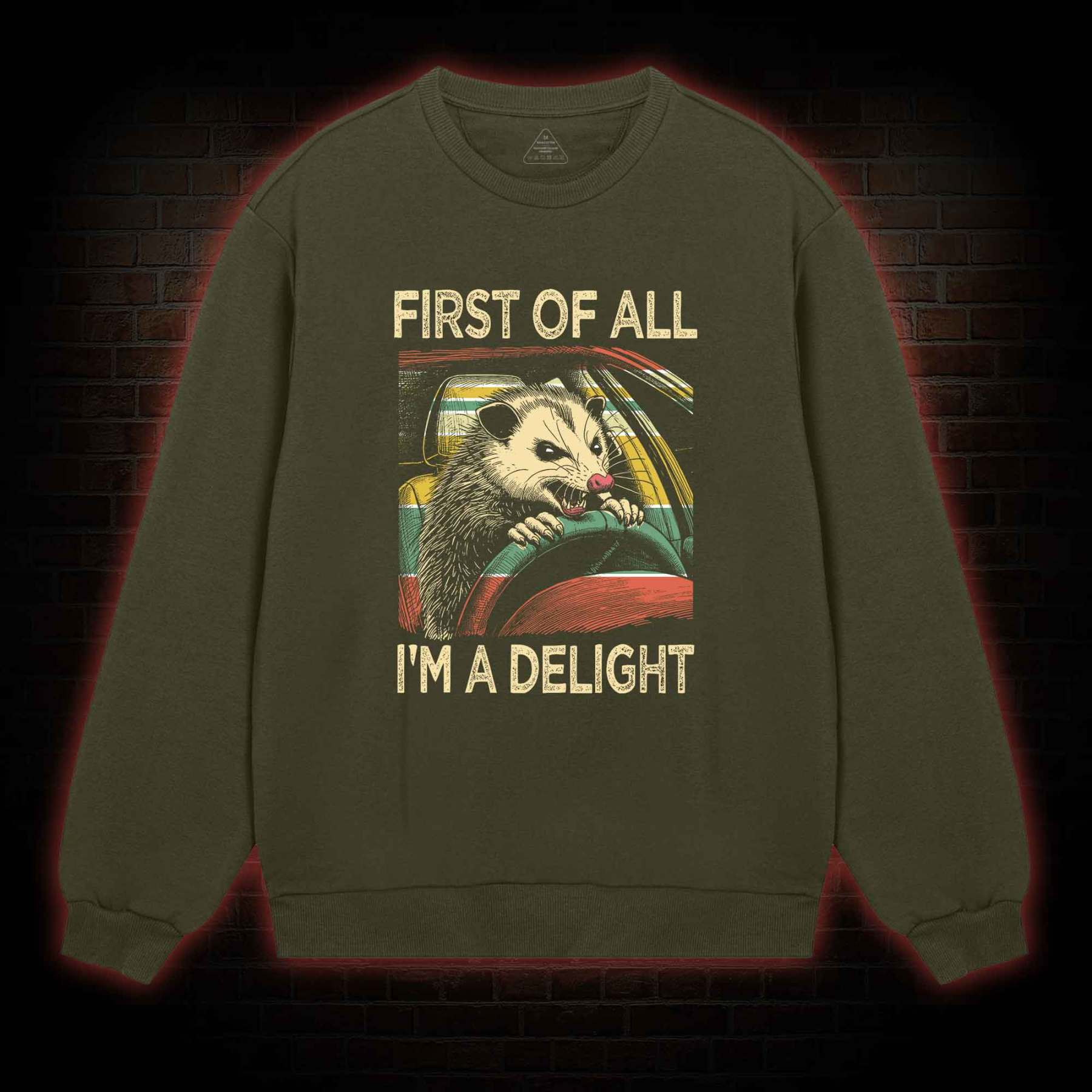 First Of All I'm A Delight Sweatshirt