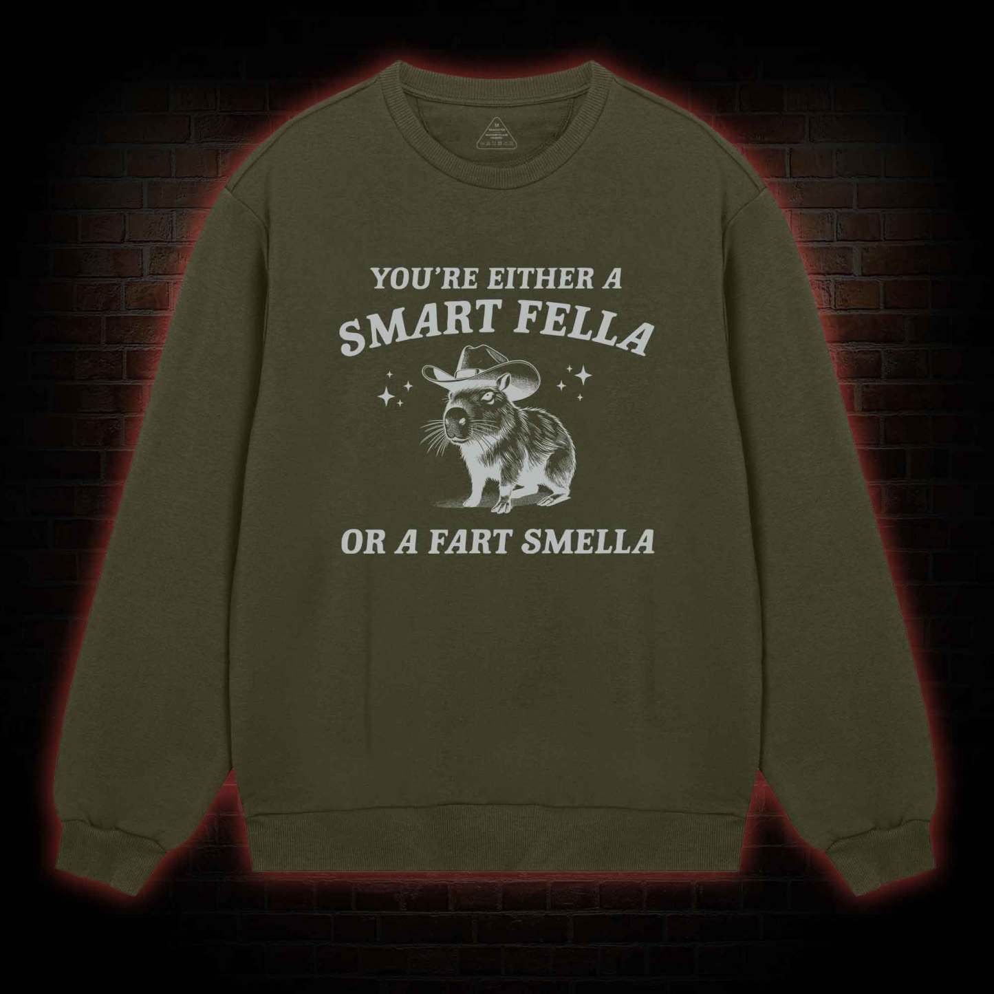 Smart Fella Or Fart Smella Sweatshirt