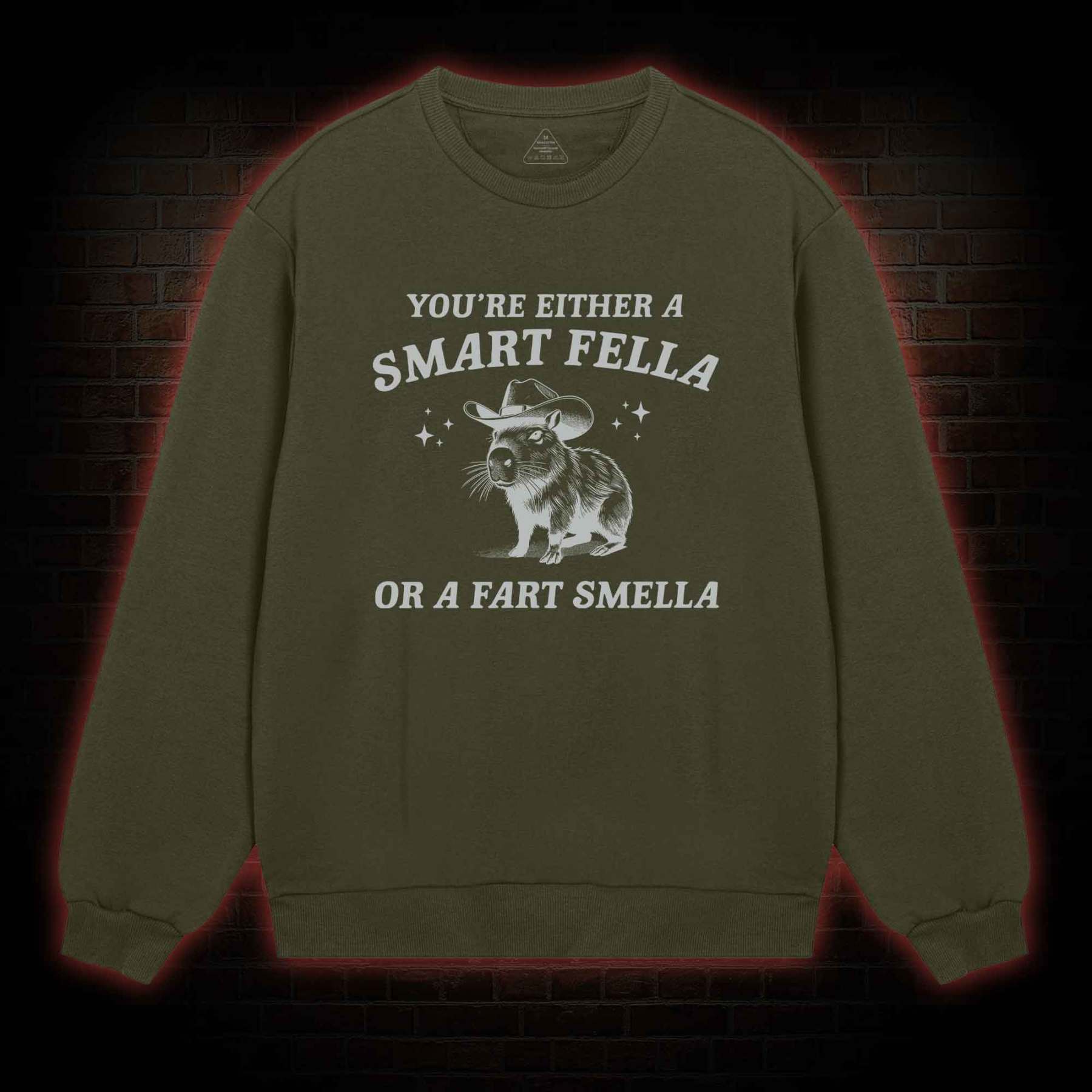 Smart Fella Or Fart Smella Sweatshirt