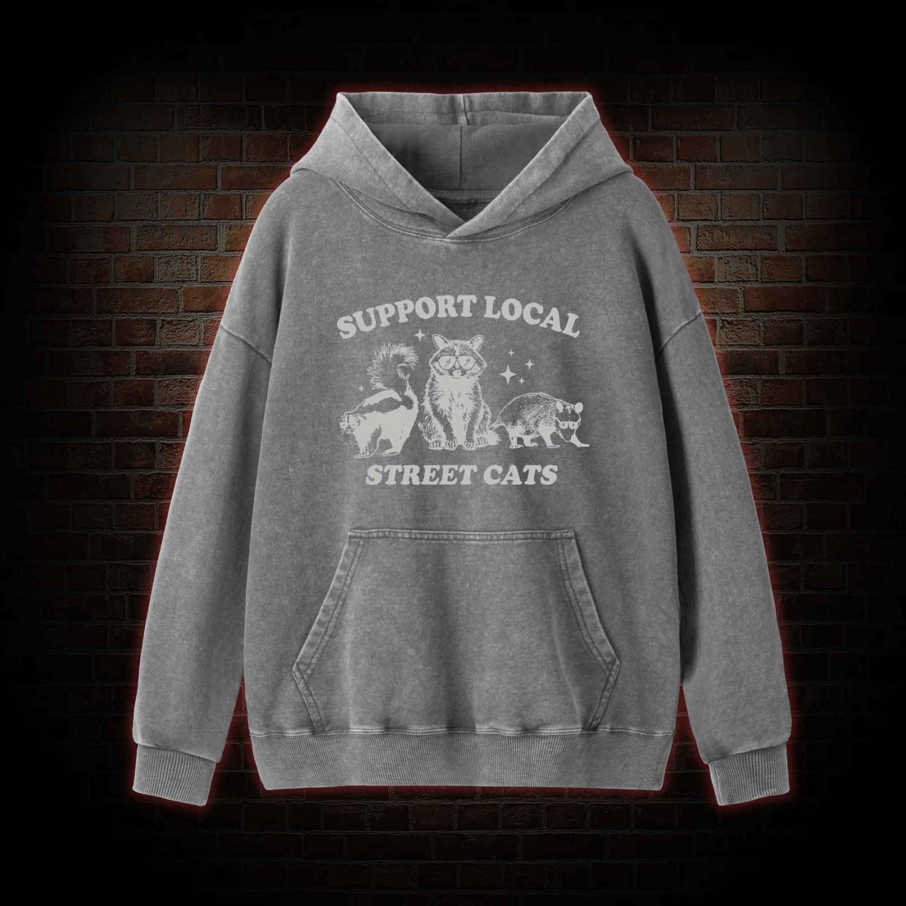 Support Local Street Cats Washed Hoodie