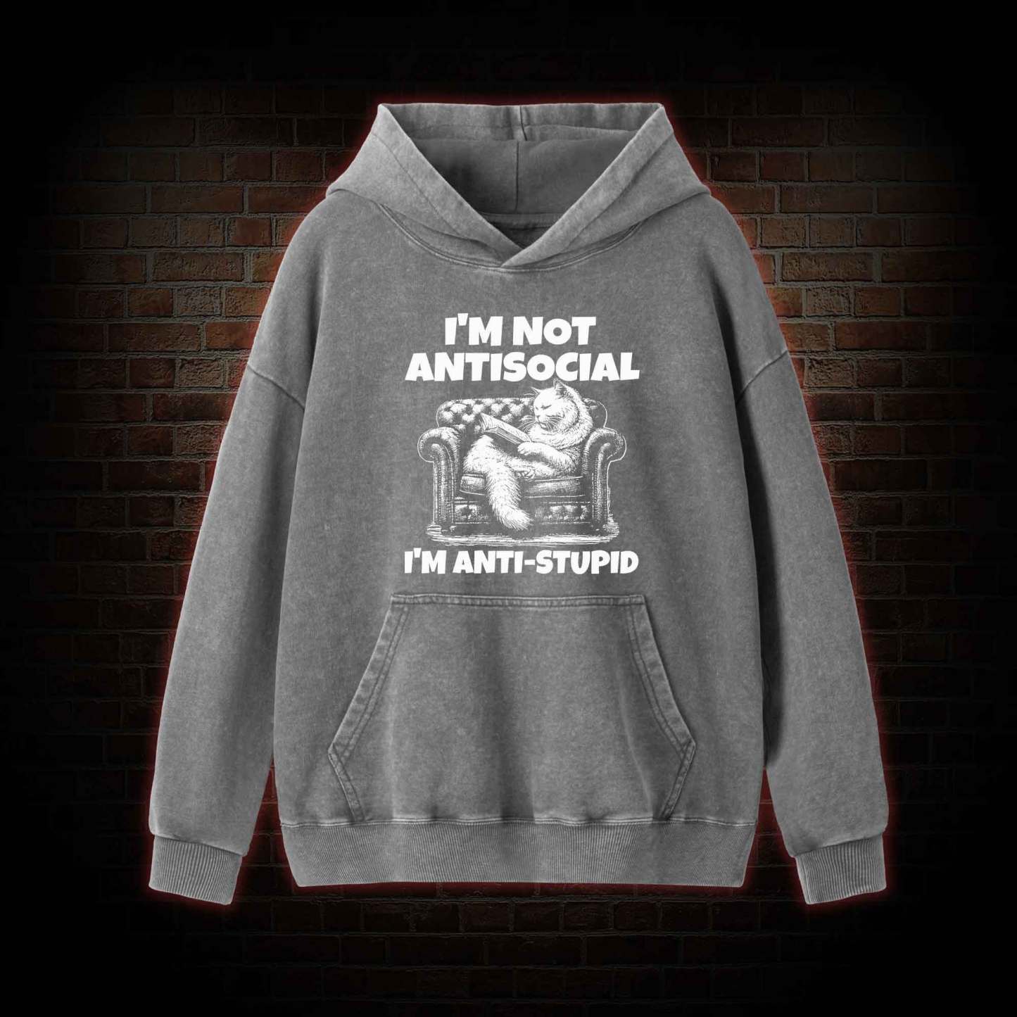 I'm Not Antisocial Washed Hoodie