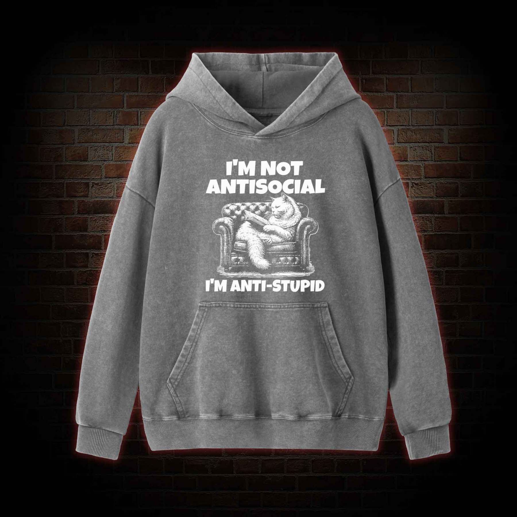I'm Not Antisocial Washed Hoodie