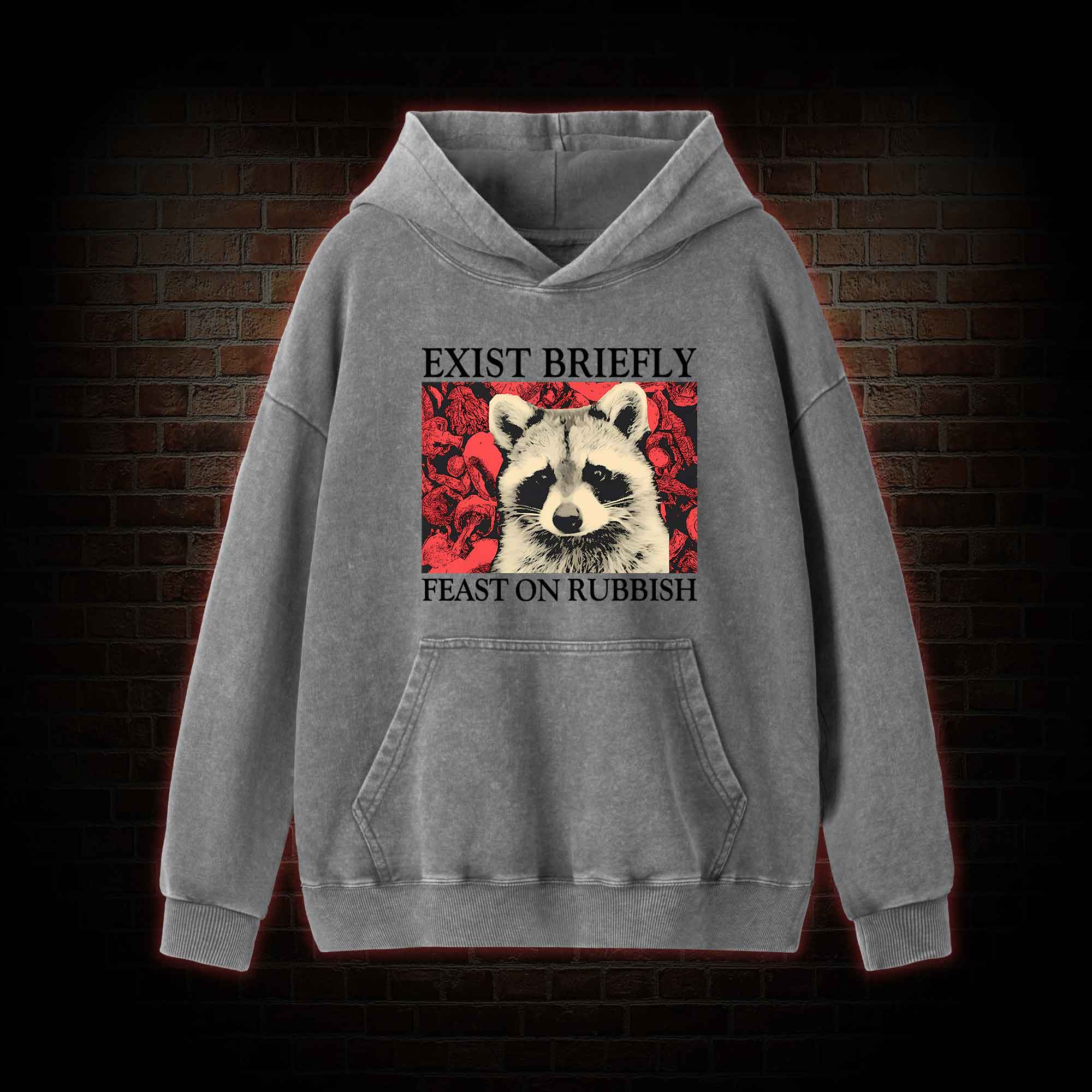 Exist Briefly Feast On Rubbish Washed Hoodie