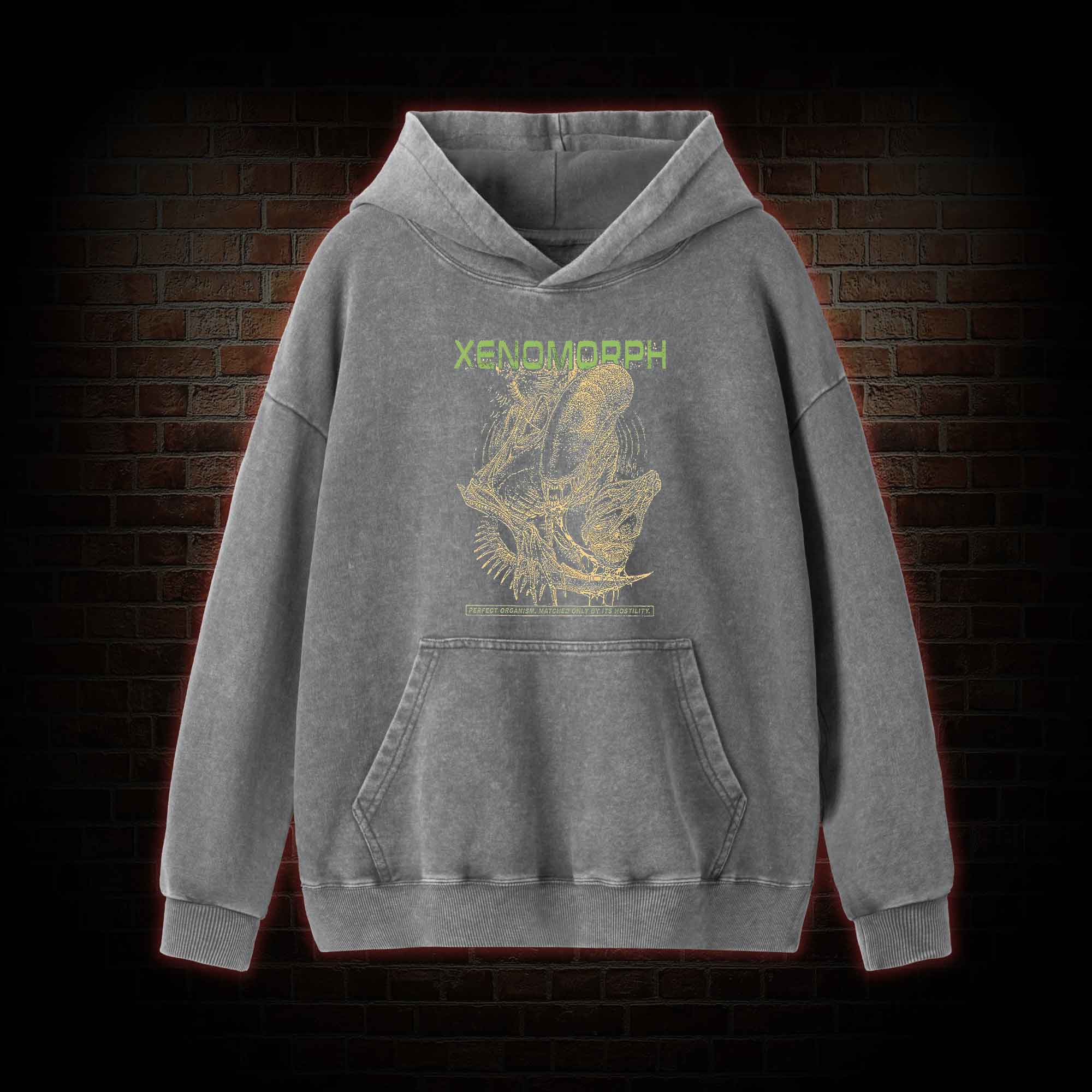 Alien Perfect Organism Washed Hoodie