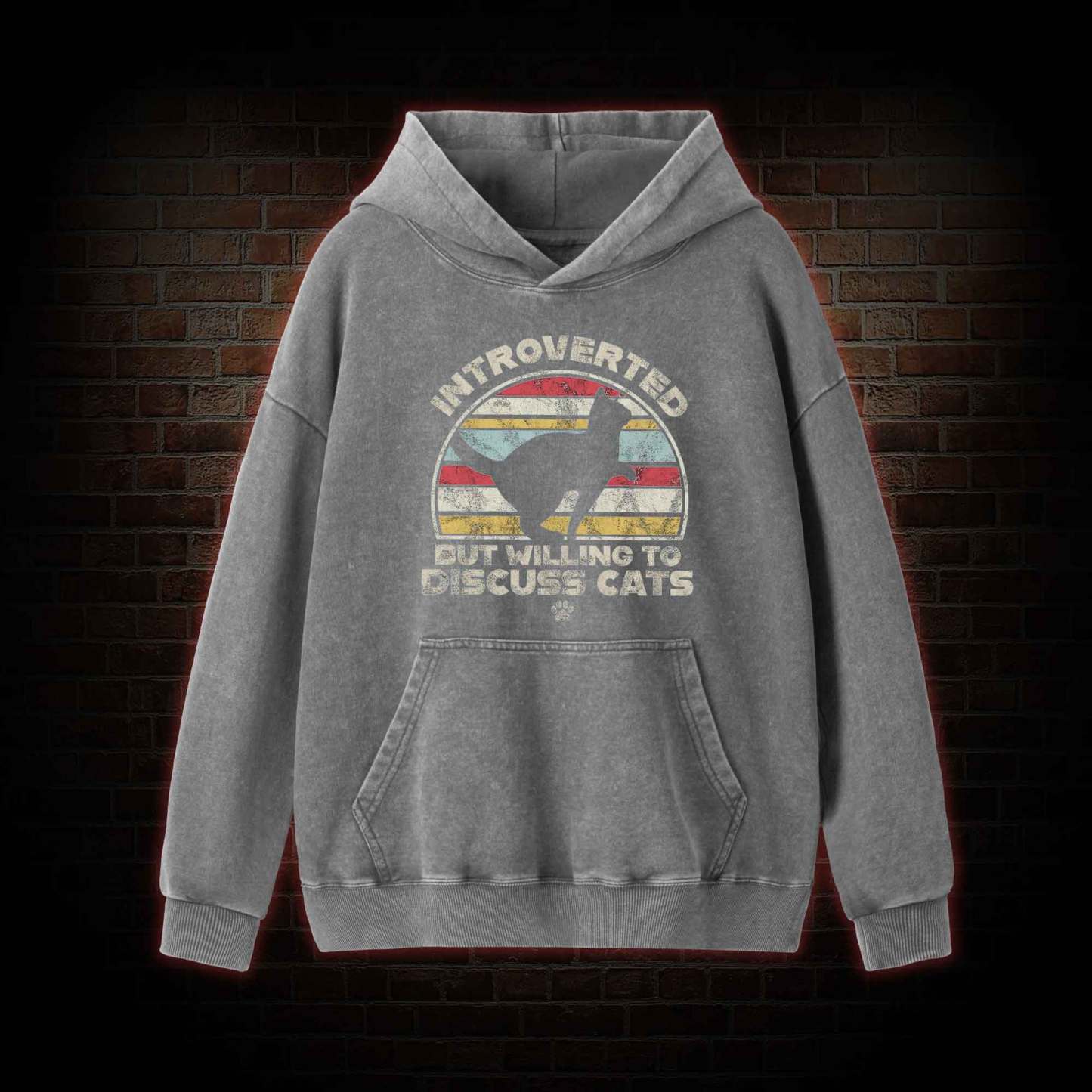 Introverted But Willing To Dicuss Cats Washed Hoodie
