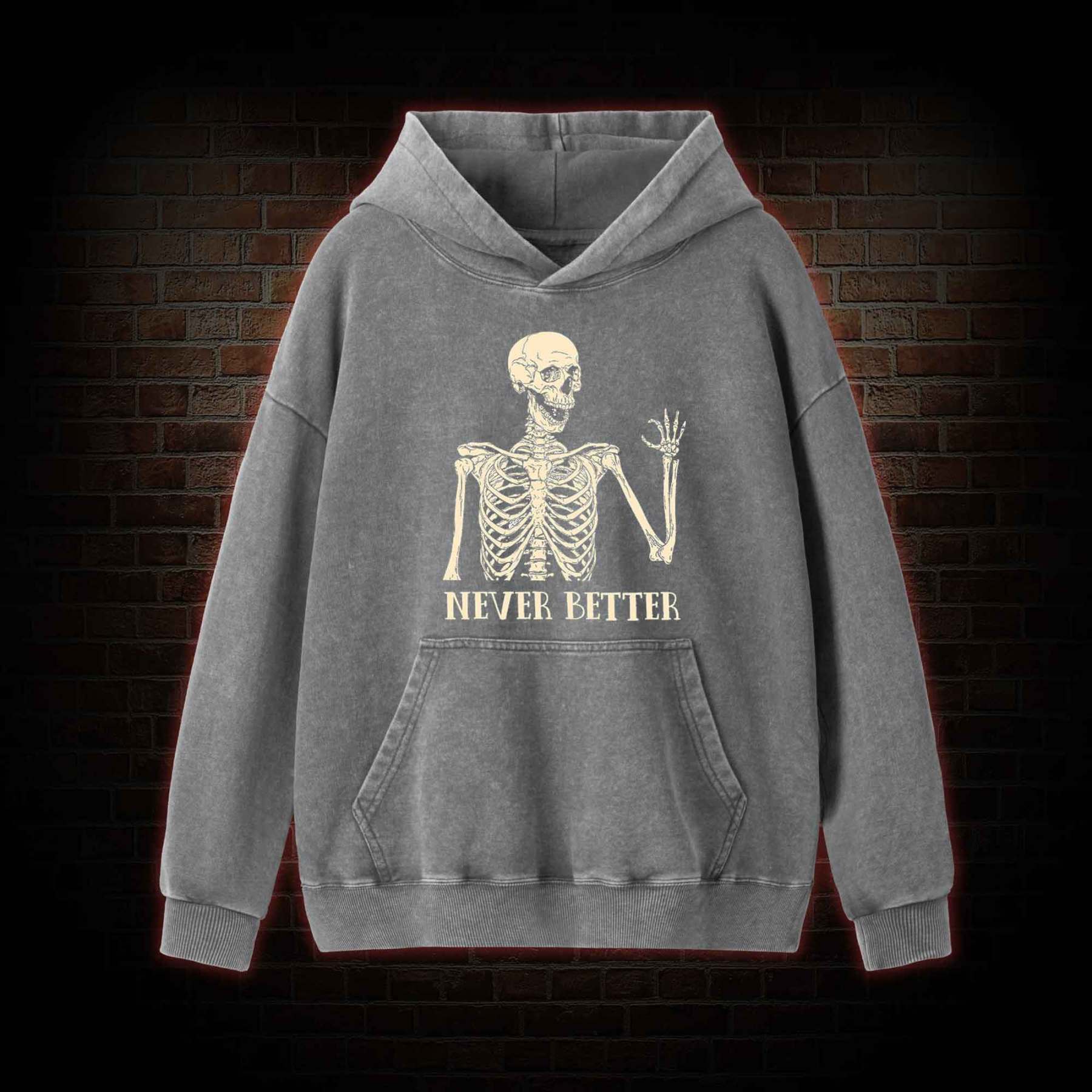 Never Better Washed Hoodie