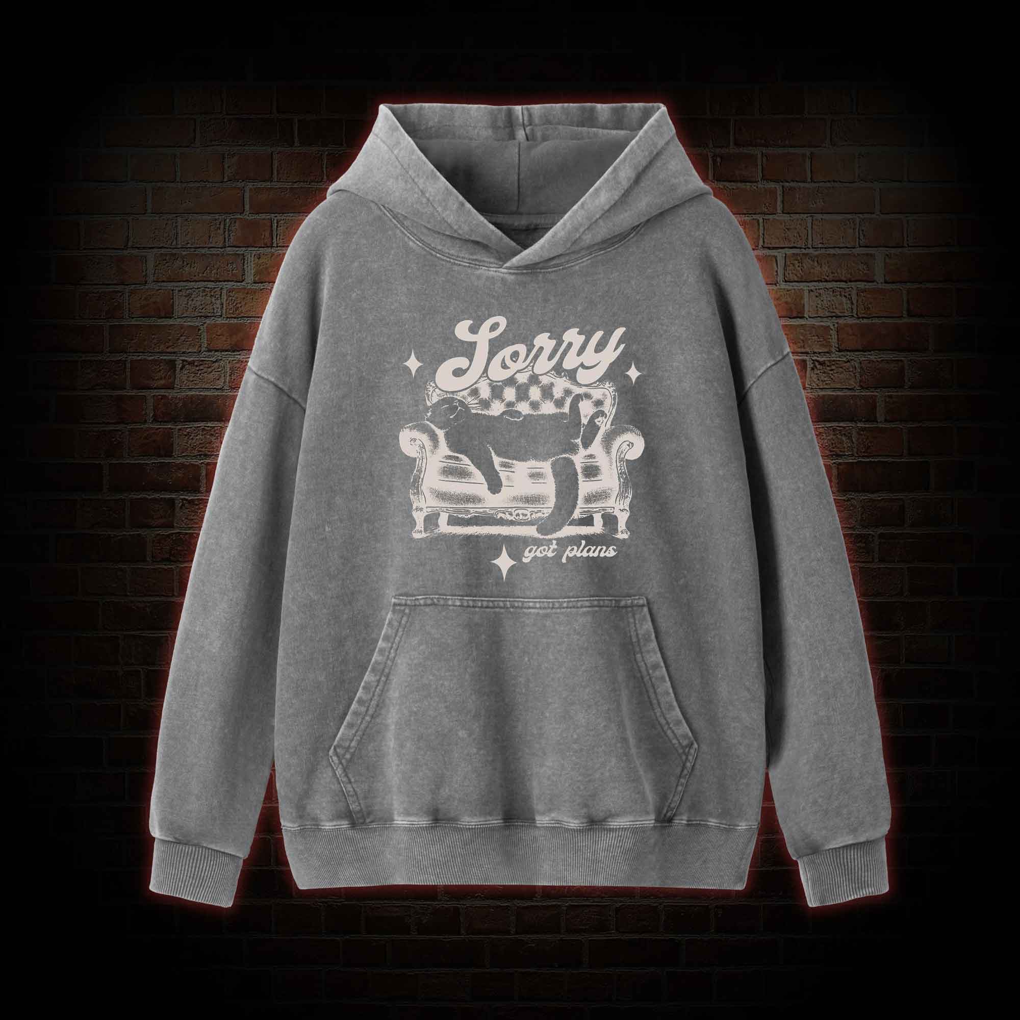 Sorry Got Plan Washed Hoodie