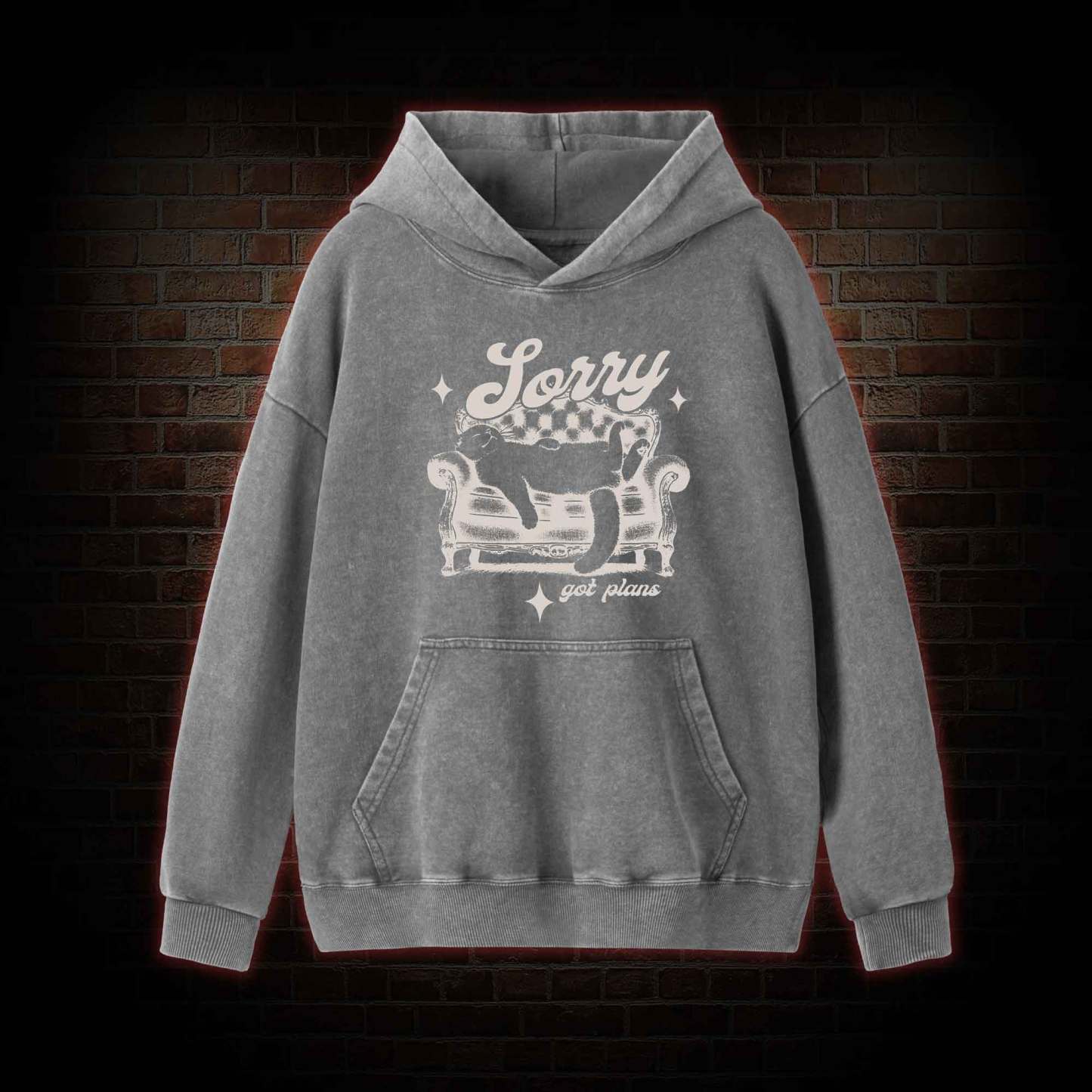 Sorry Got Plan Washed Hoodie