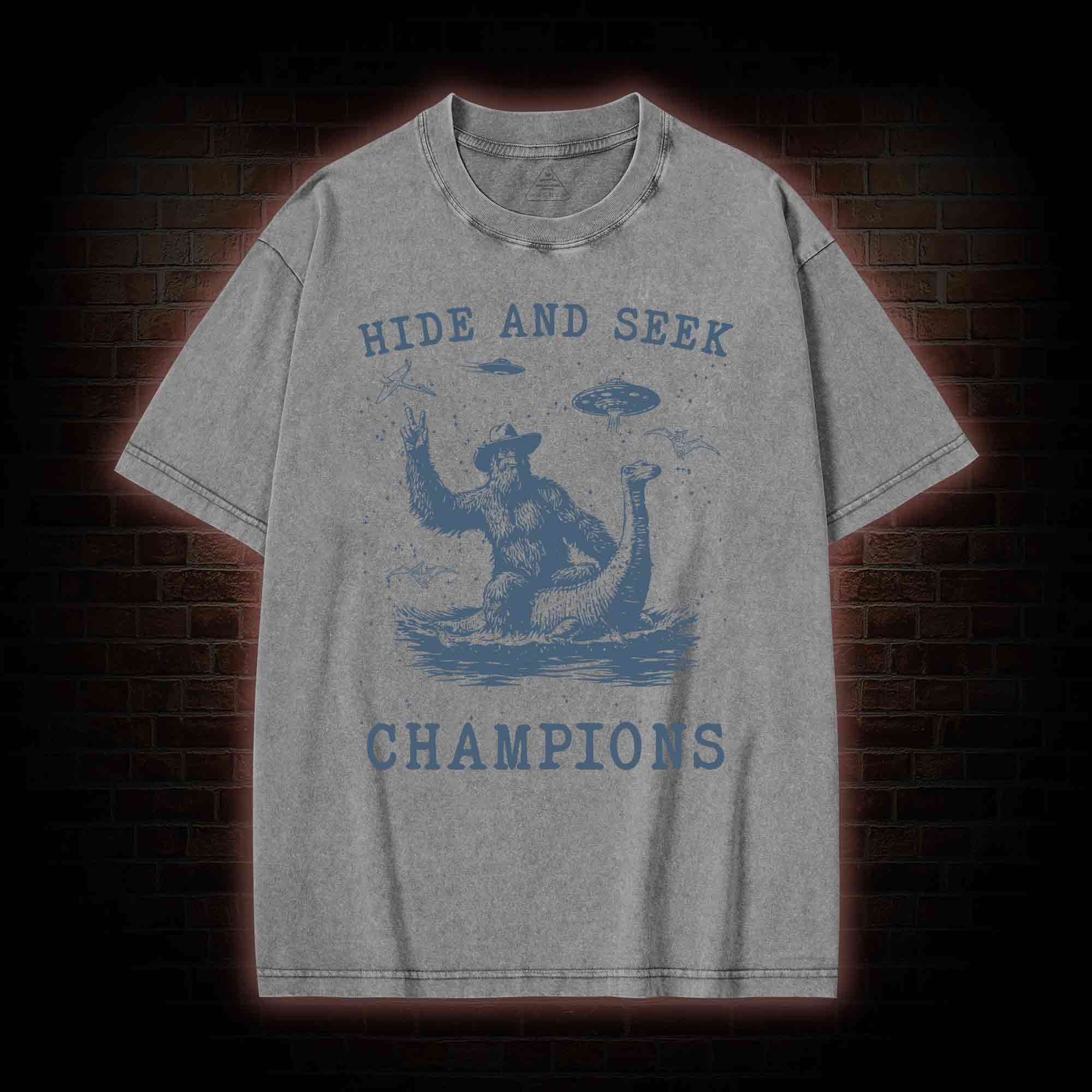 Hide & Seek Champion Washed T-shirt
