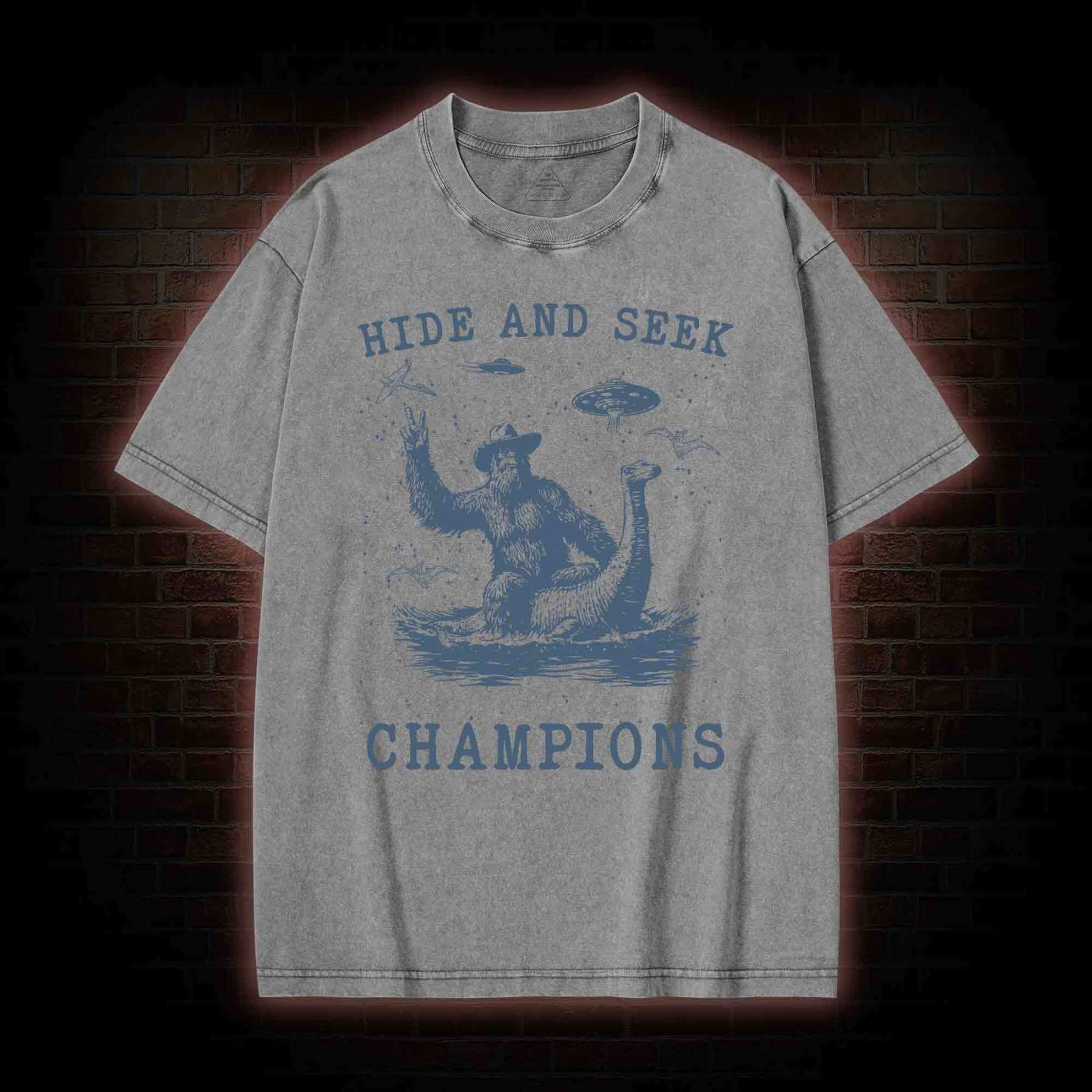Hide & Seek Champion Washed T-shirt