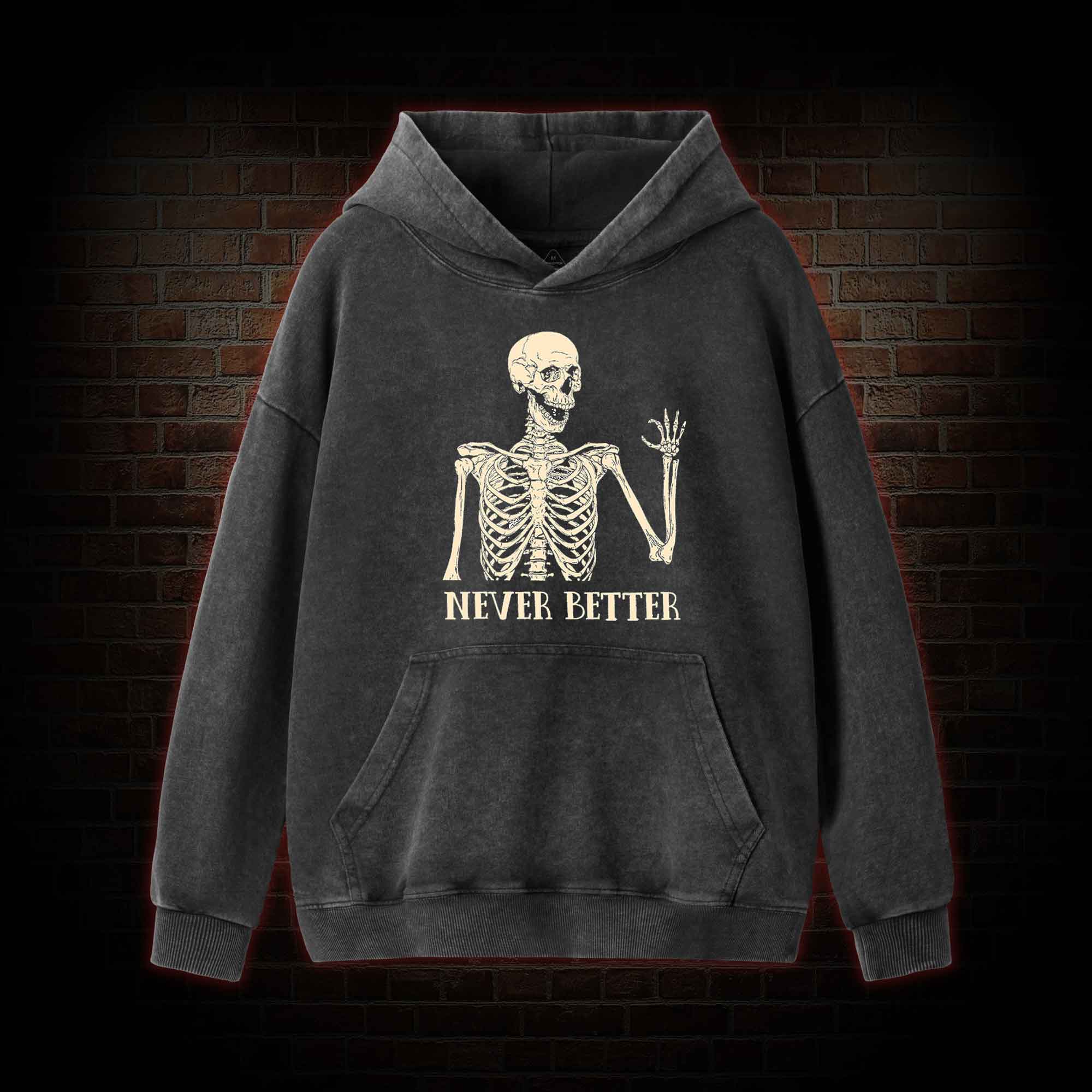 Never Better Washed Hoodie