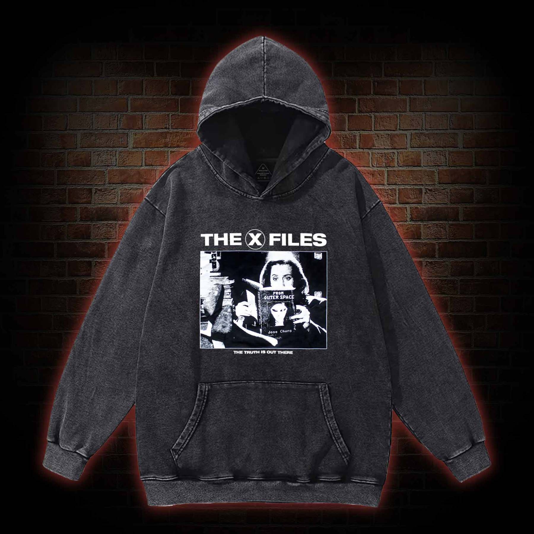 Truth Is Out There Washed Hoodie