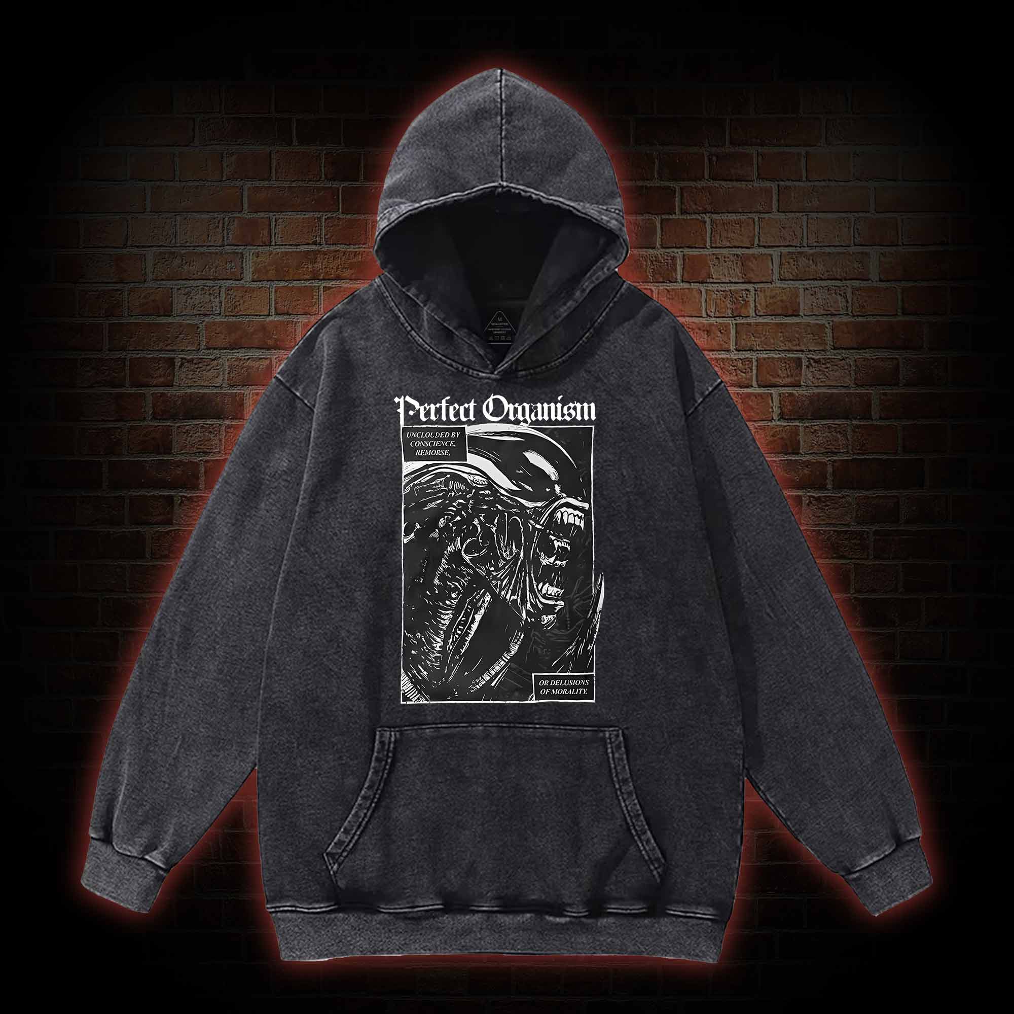 Alien Perfect Organism Washed Hoodie
