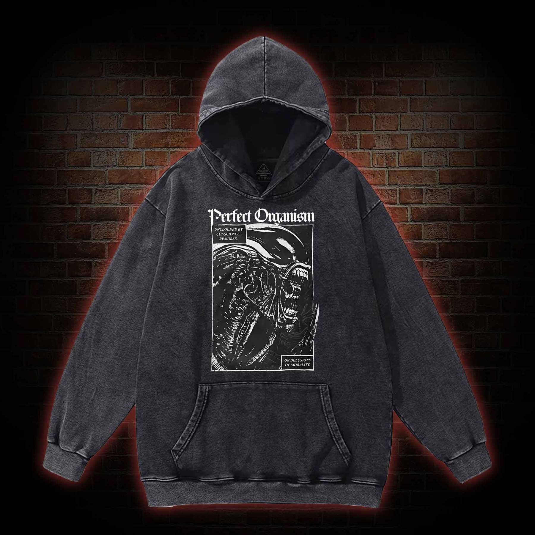 Alien Perfect Organism Washed Hoodie