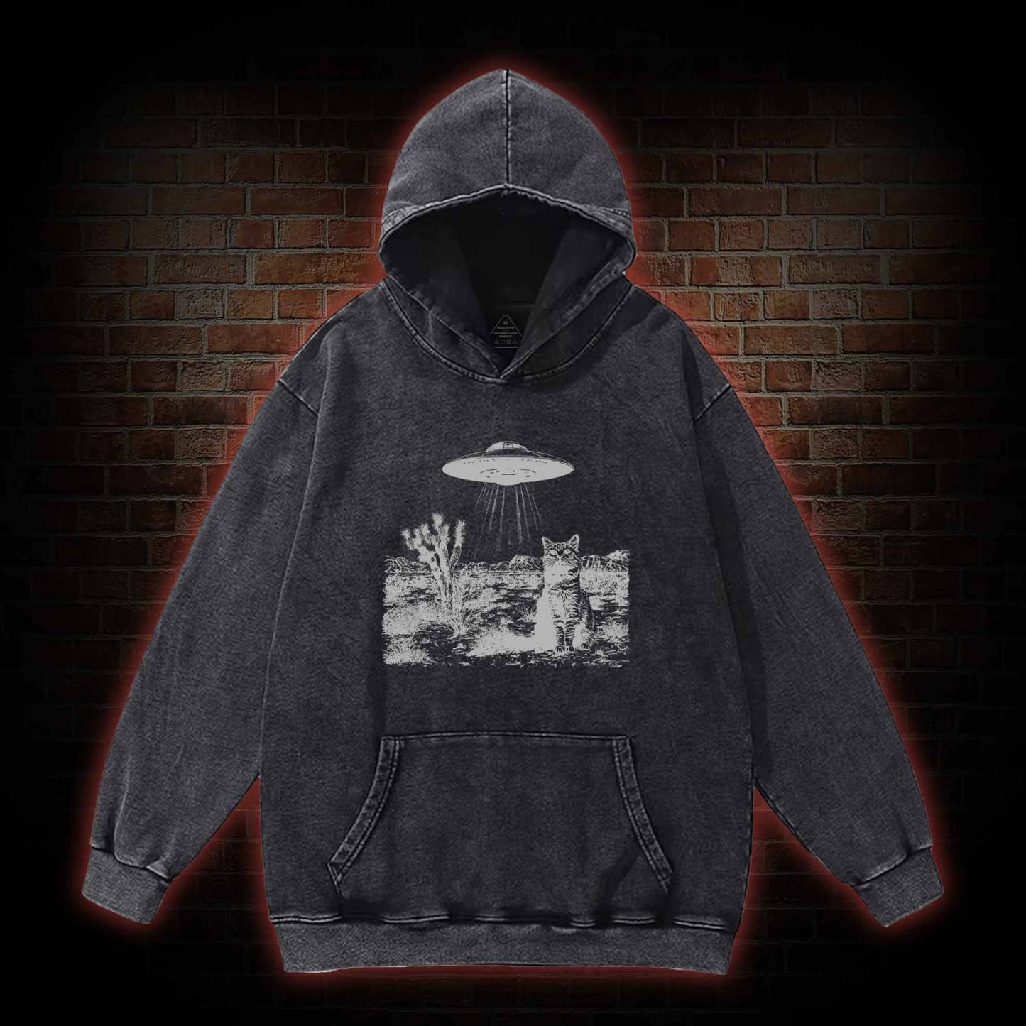Ufo Cowboy Cat Washed Hoodie