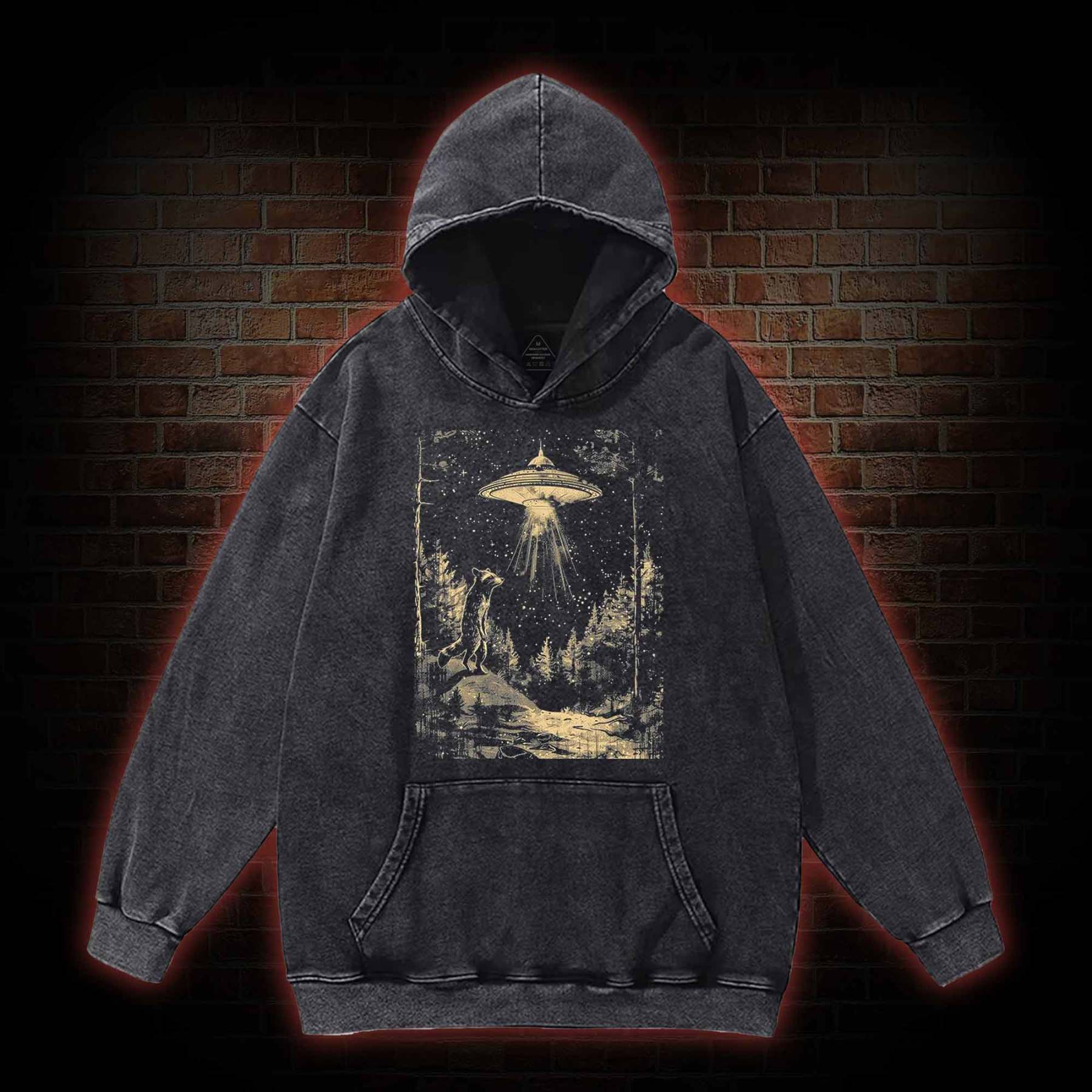 UFO and Raccoons Washed Hoodie