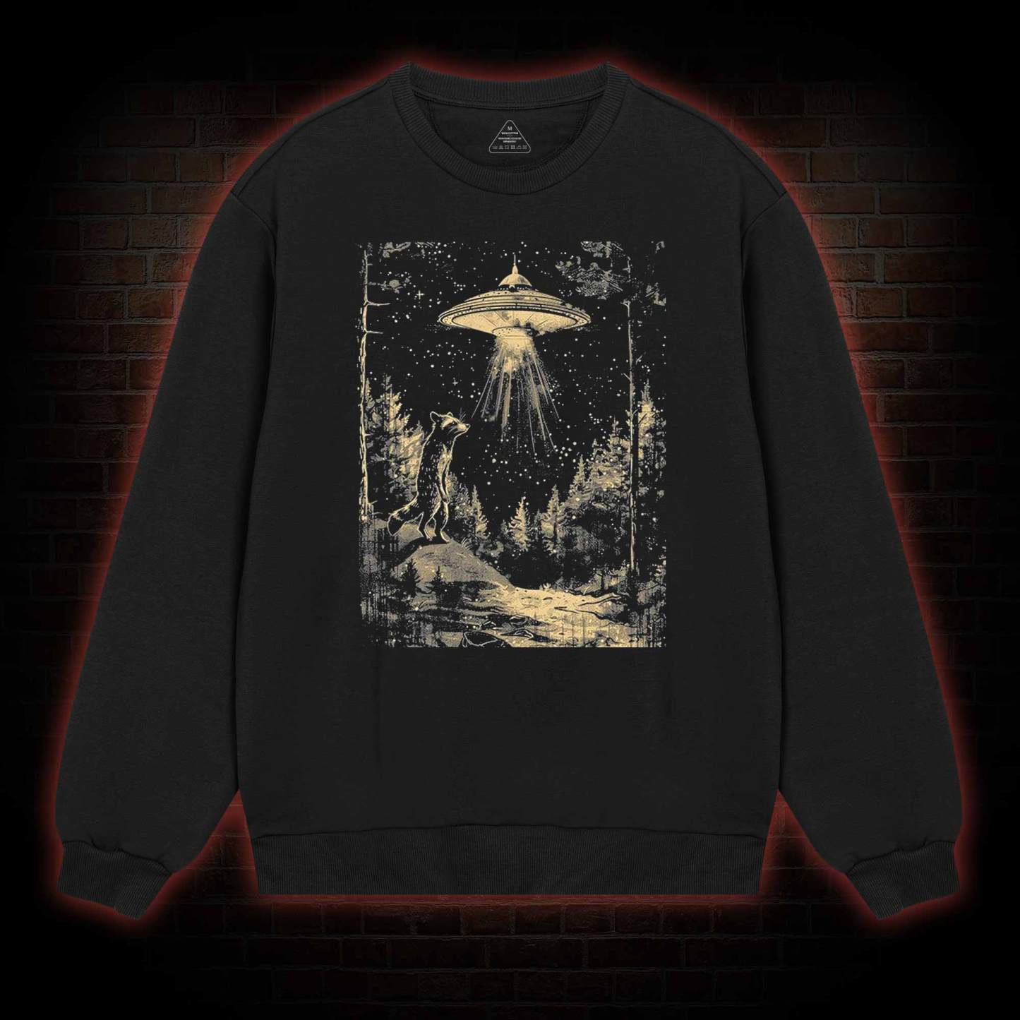 UFO and Raccoons Sweatshirt