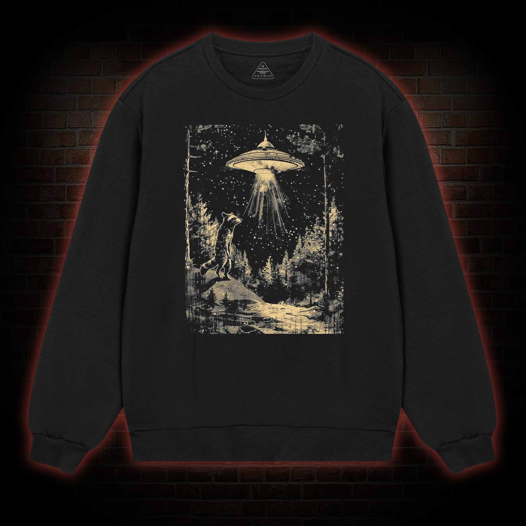 UFO and Raccoons Sweatshirt