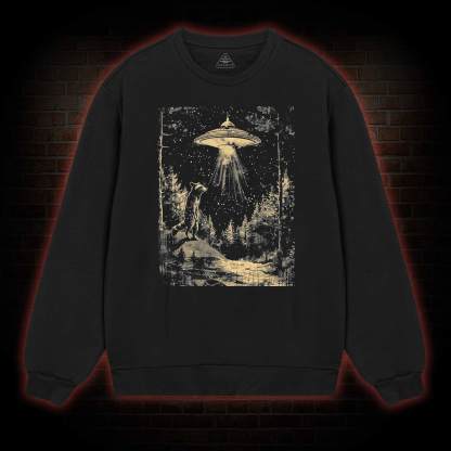  UFO and Raccoons Sweatshirt