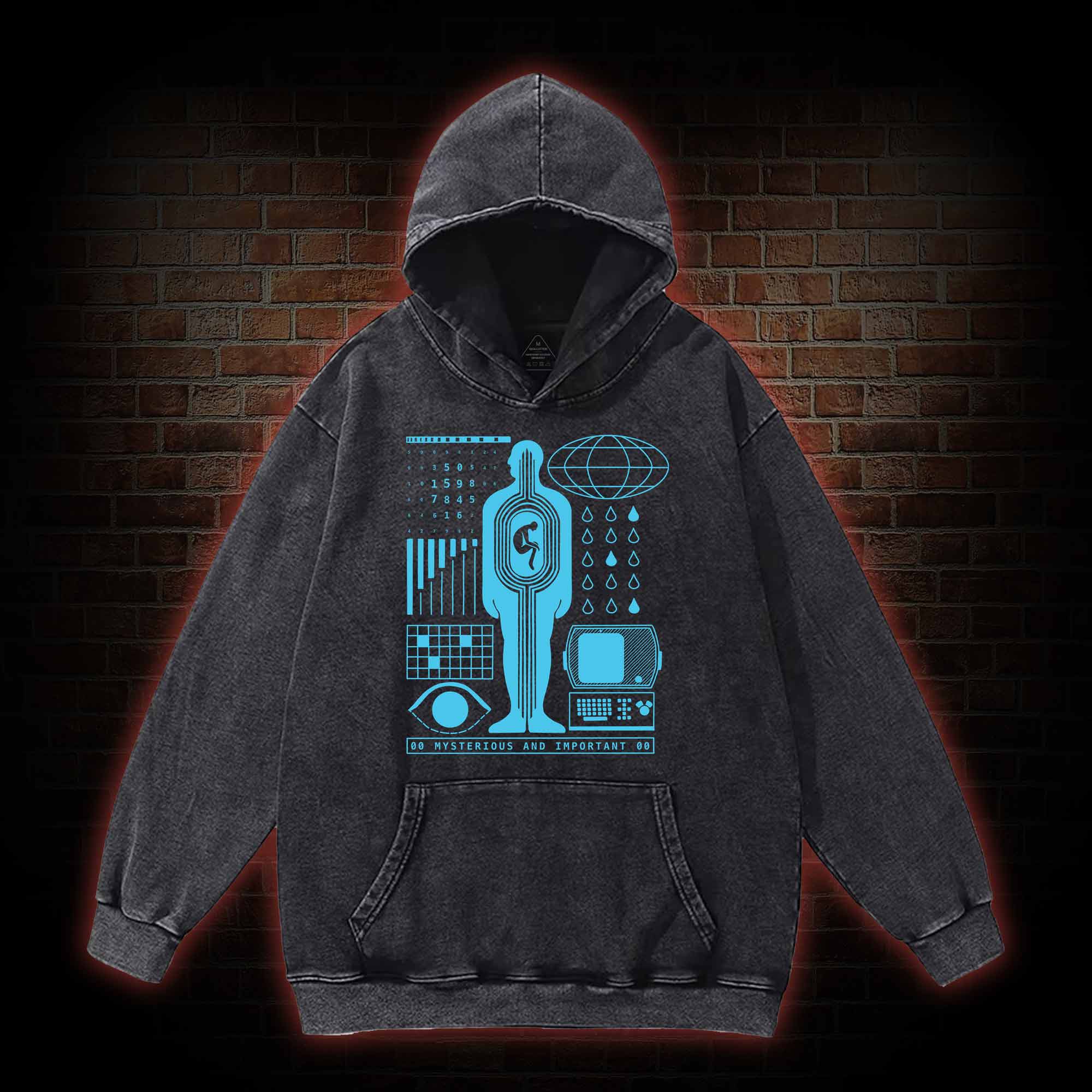 Mysterious and Important Washed Hoodie