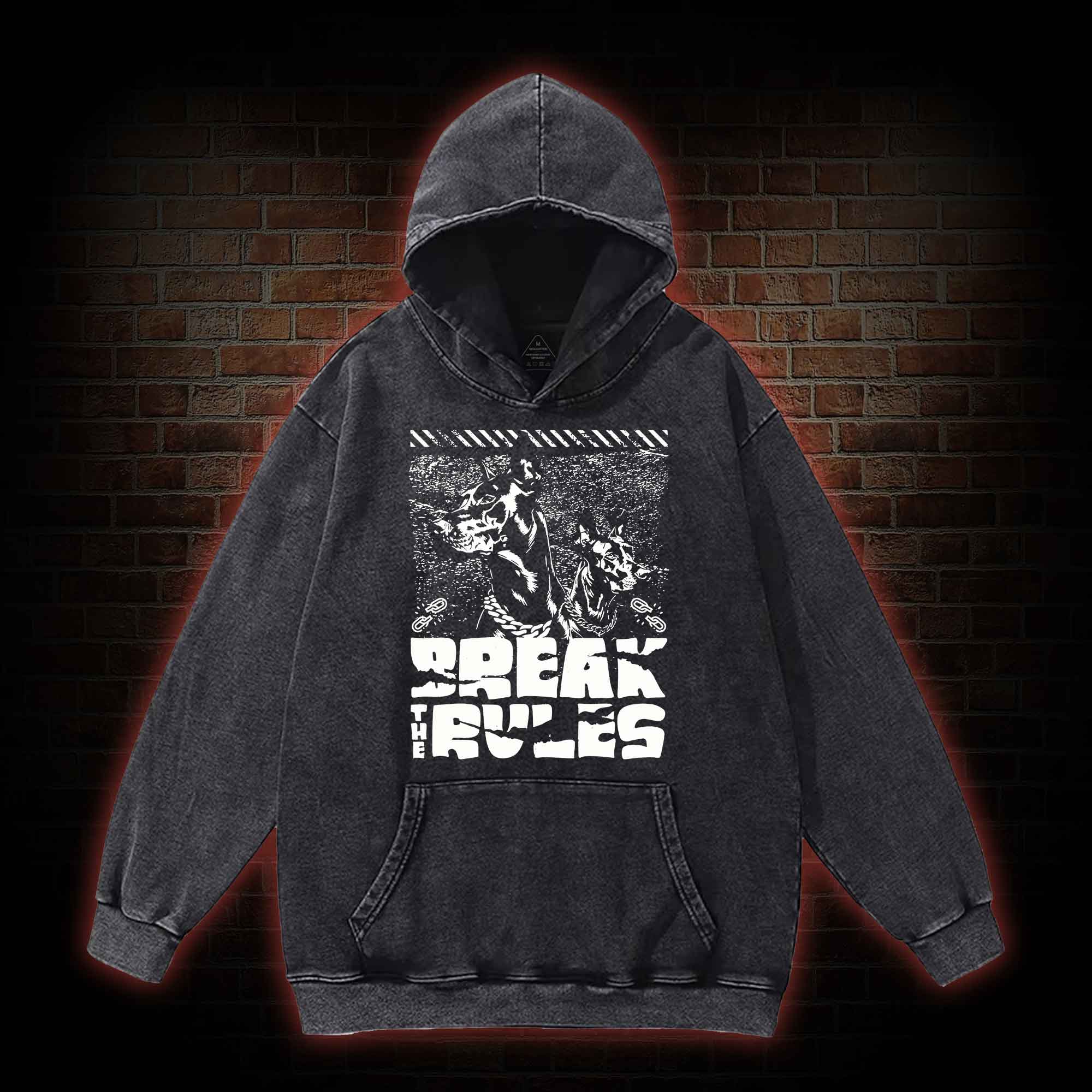 Break the Rules Washed Hoodie