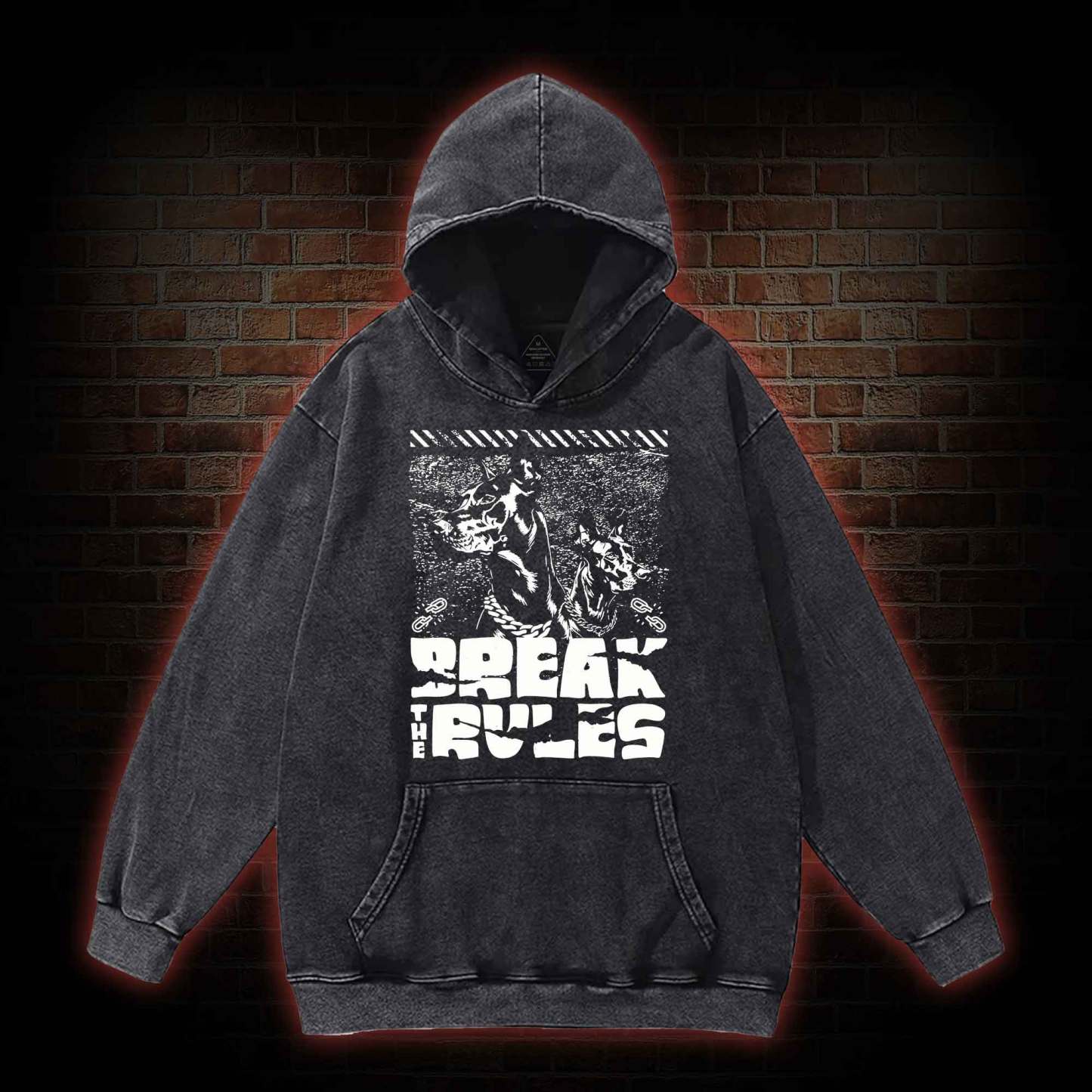 Break the Rules Washed Hoodie