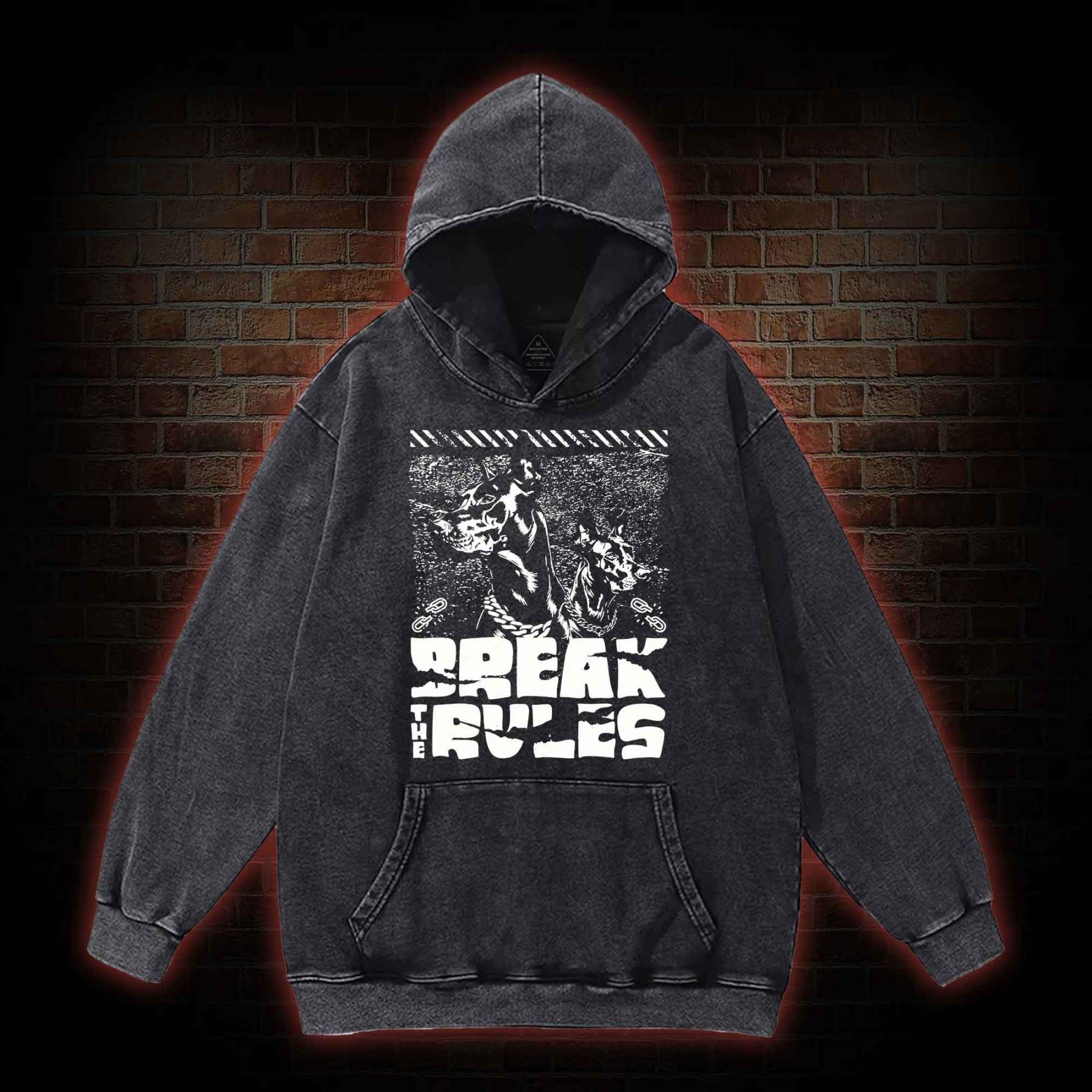 Break the Rules Washed Hoodie