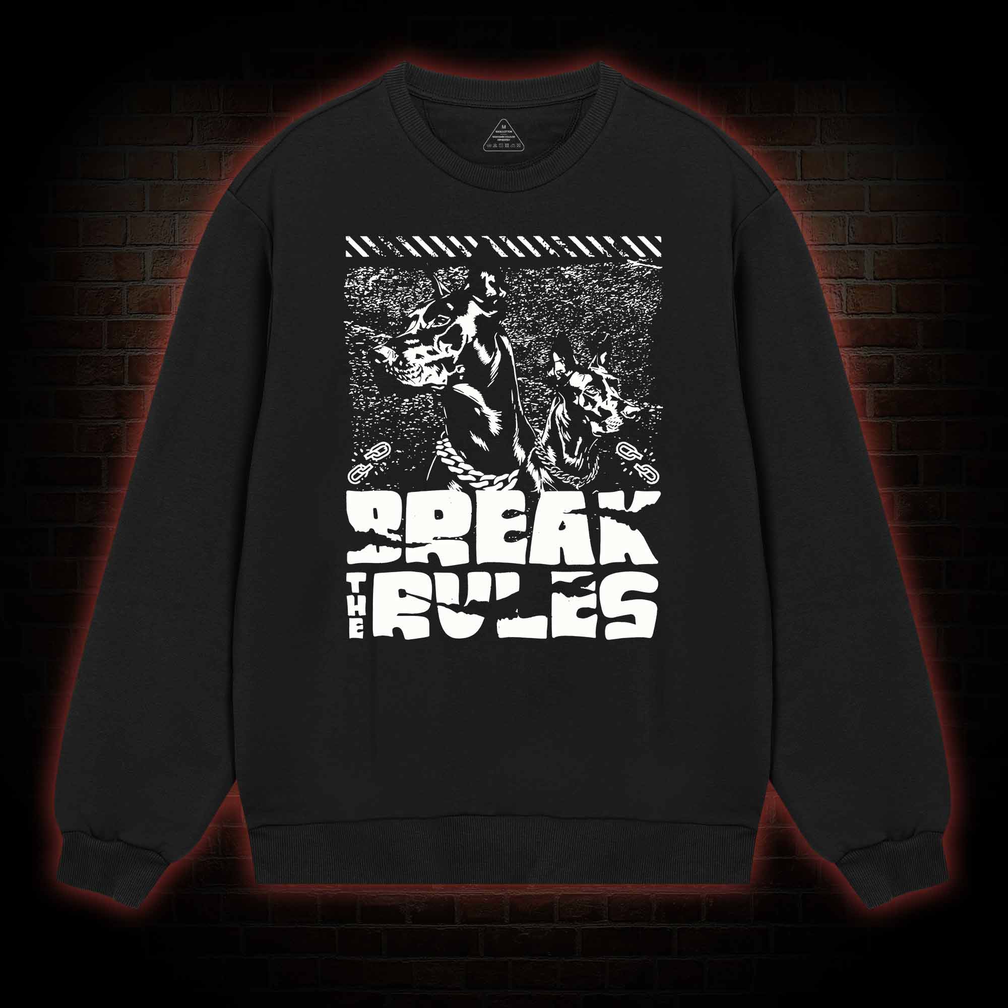 Break the Rules Sweatshirt