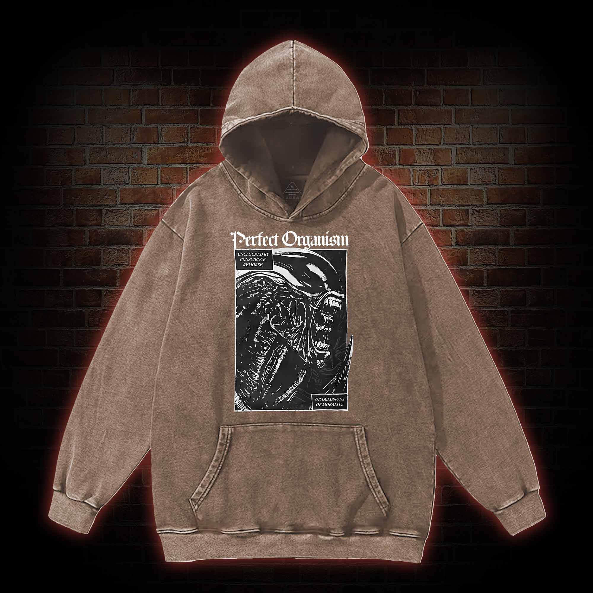 Alien Perfect Organism Washed Hoodie