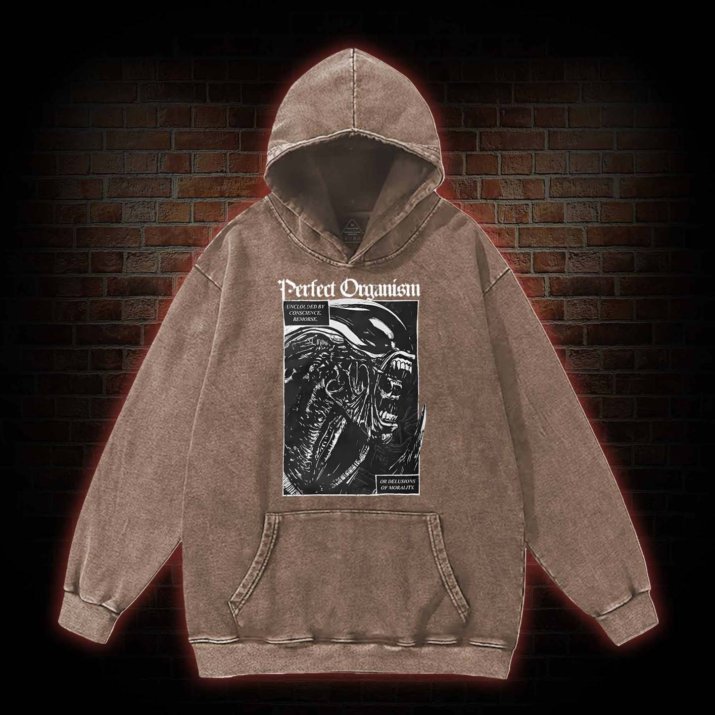 Alien Perfect Organism Washed Hoodie