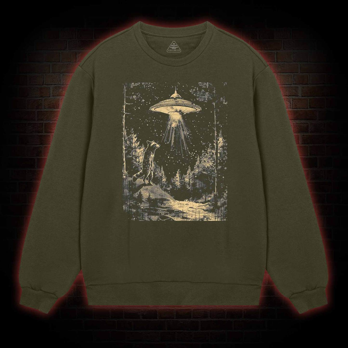  UFO and Raccoons Sweatshirt