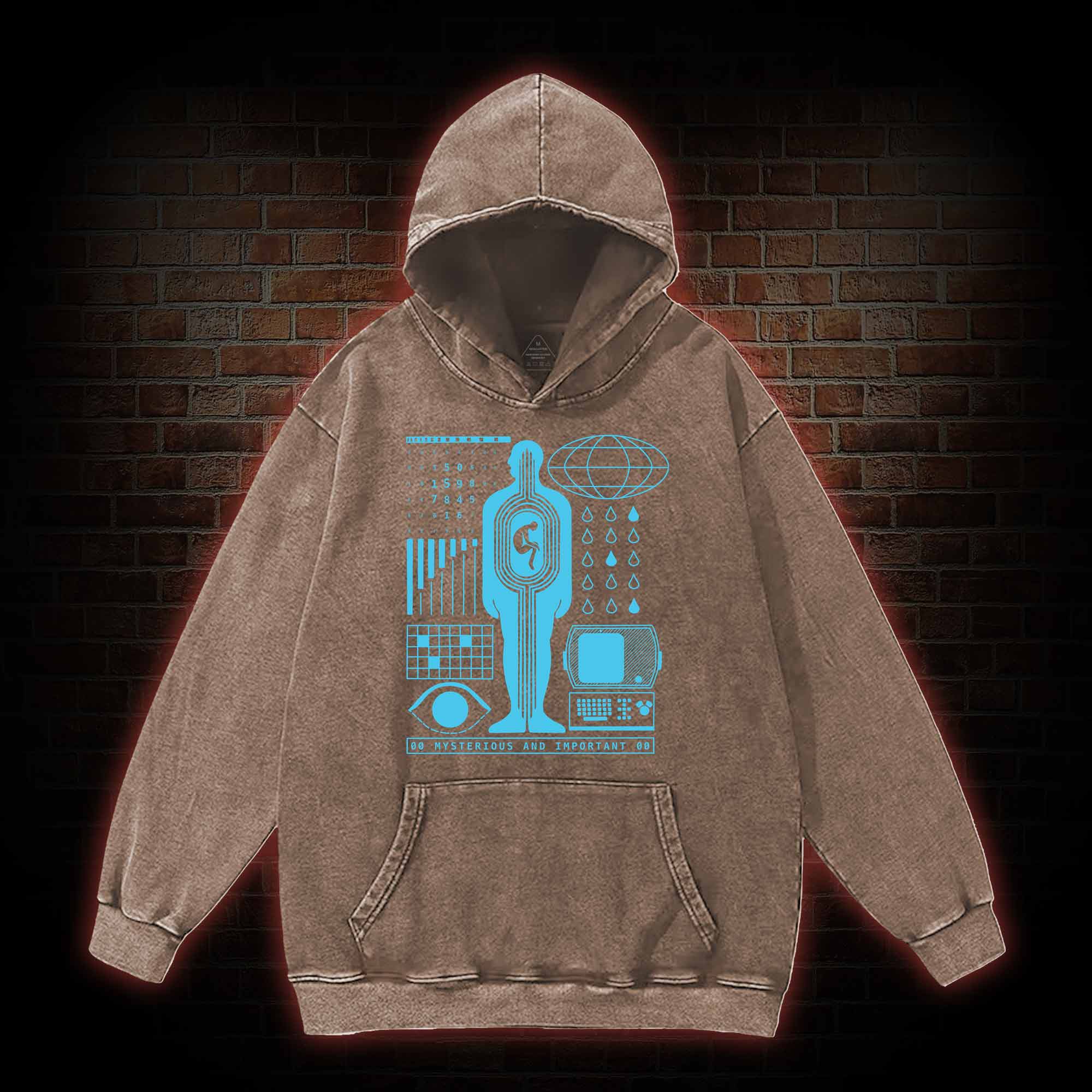 Mysterious and Important Washed Hoodie