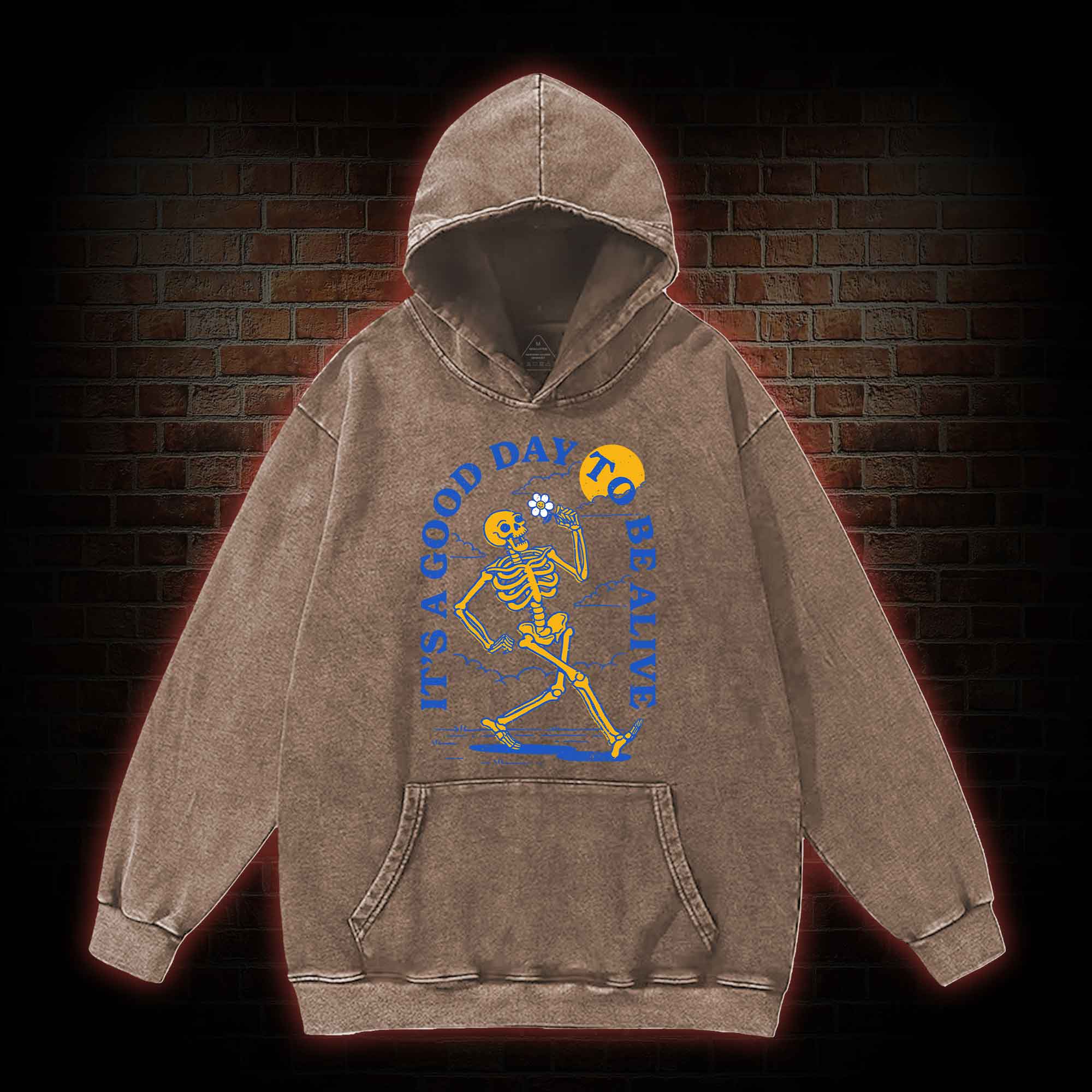 It's A Good Day To Be Alive Washed Hoodie