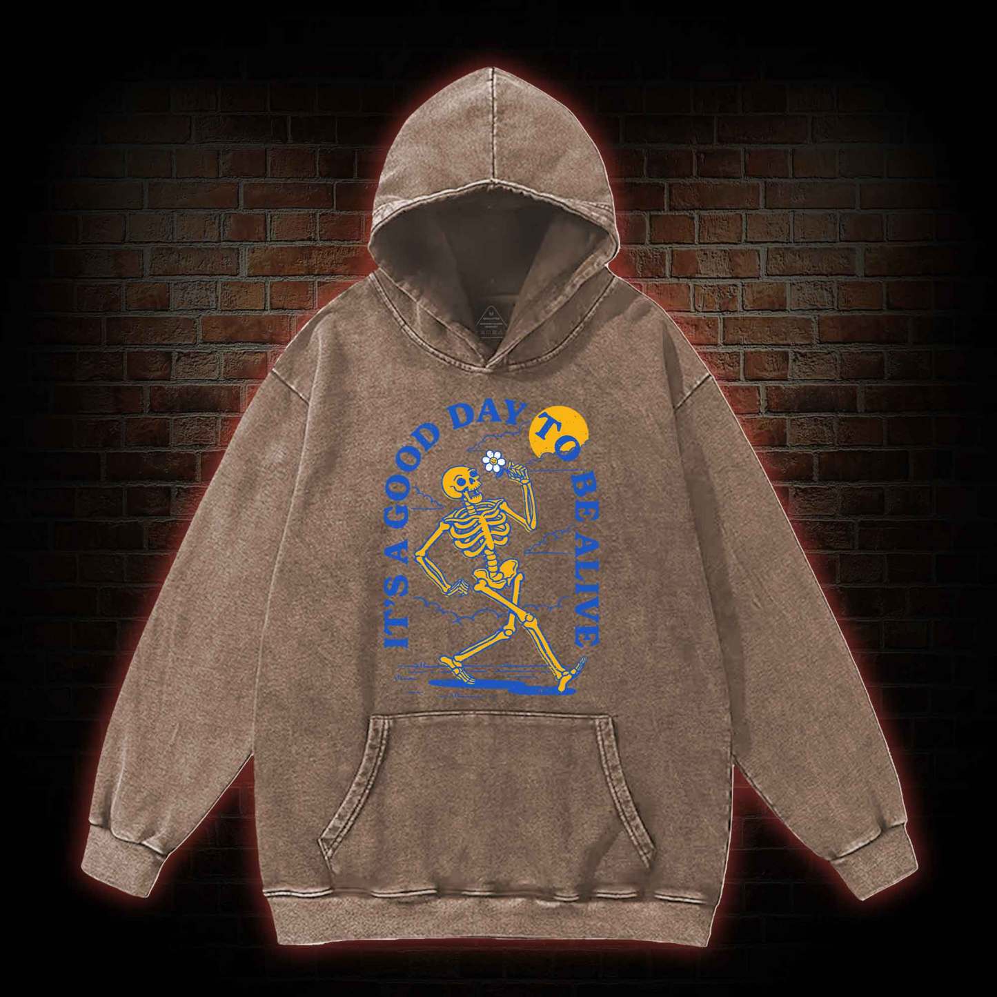It's A Good Day To Be Alive Washed Hoodie