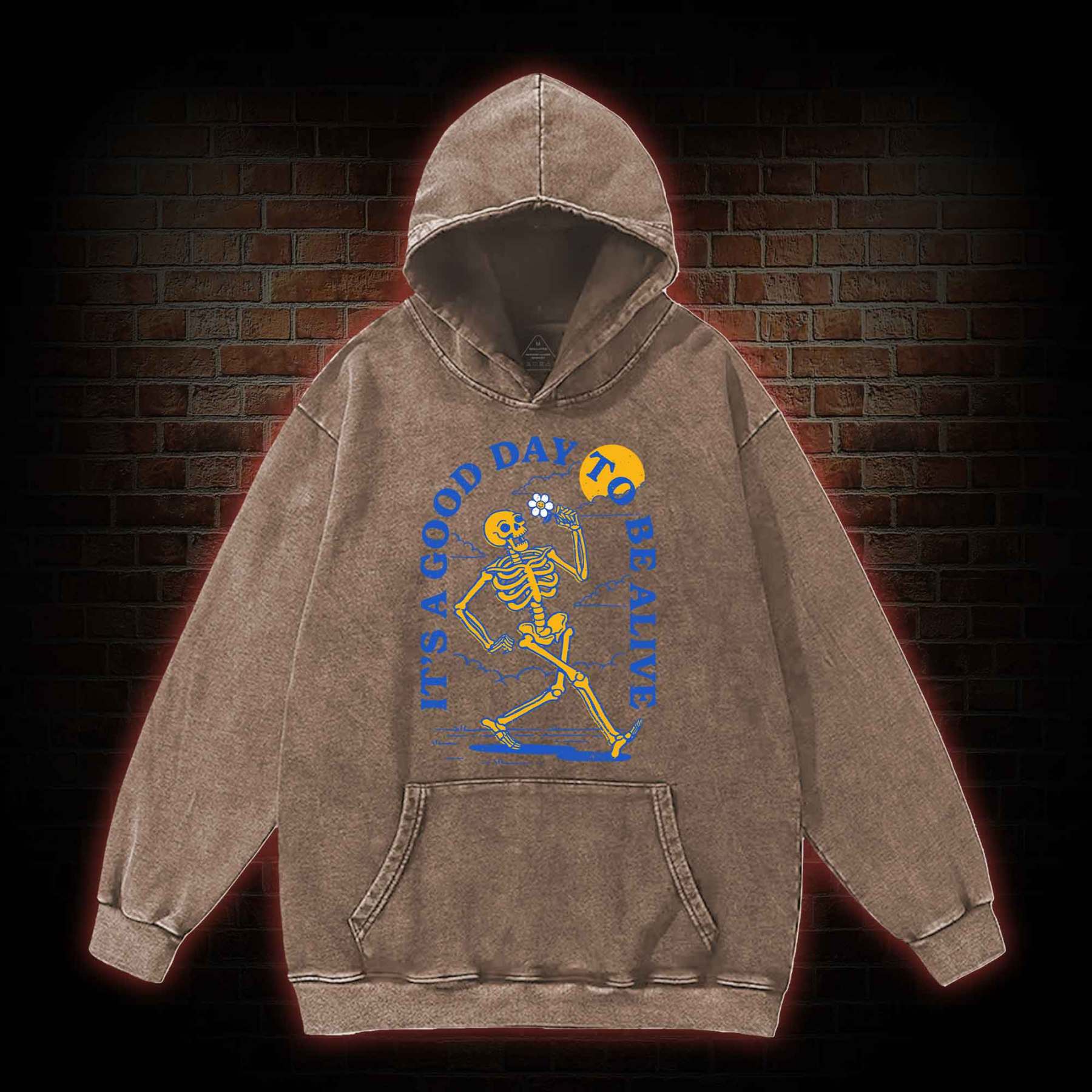 It's A Good Day To Be Alive Washed Hoodie