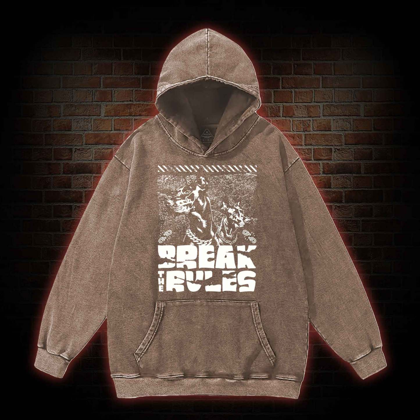 Break the Rules Washed Hoodie