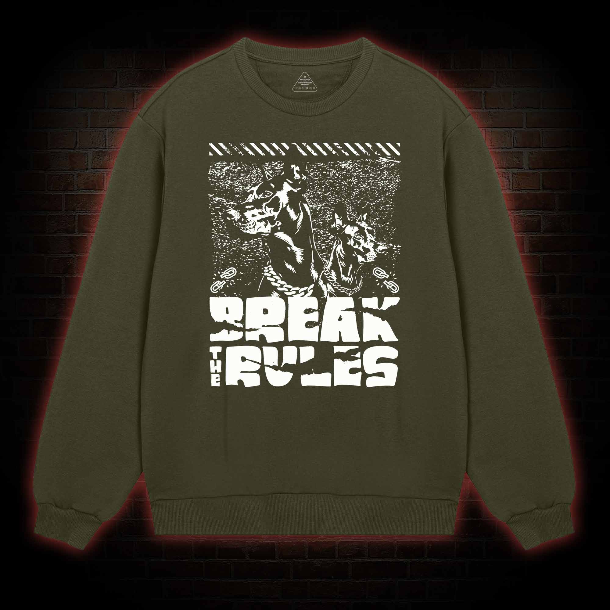 Break the Rules Sweatshirt