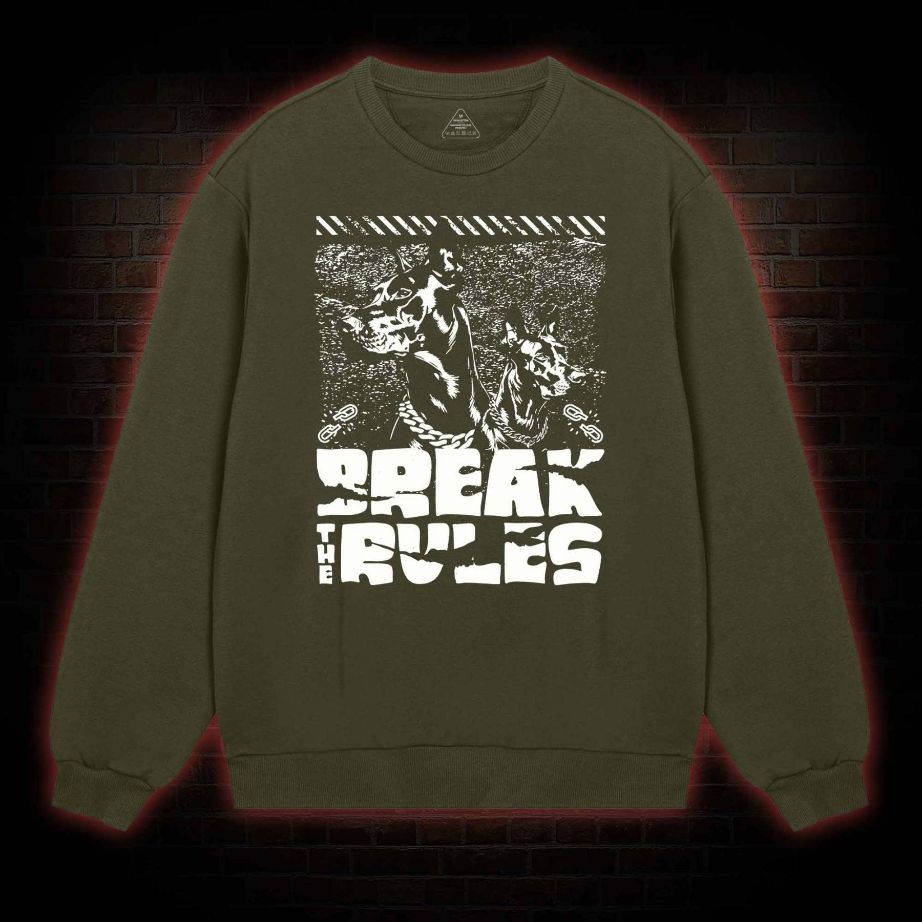 Break the Rules Sweatshirt