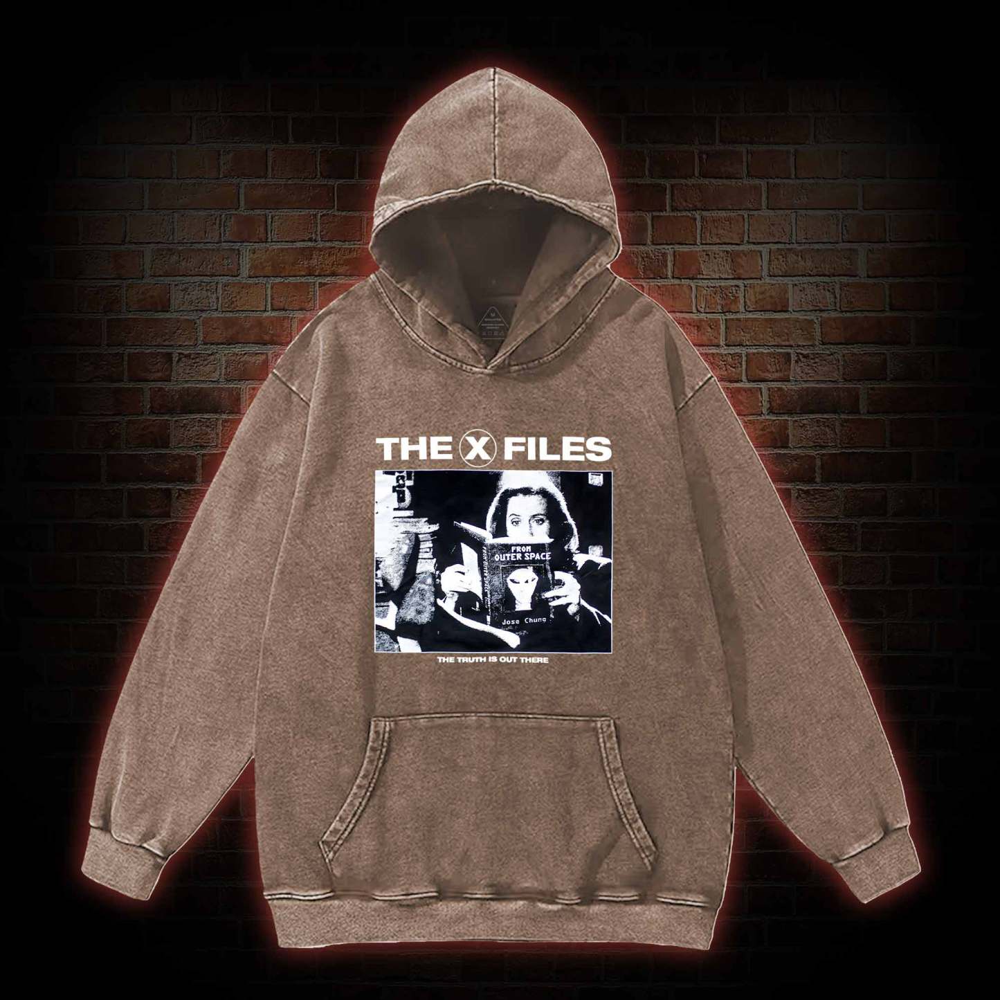 Truth Is Out There Washed Hoodie
