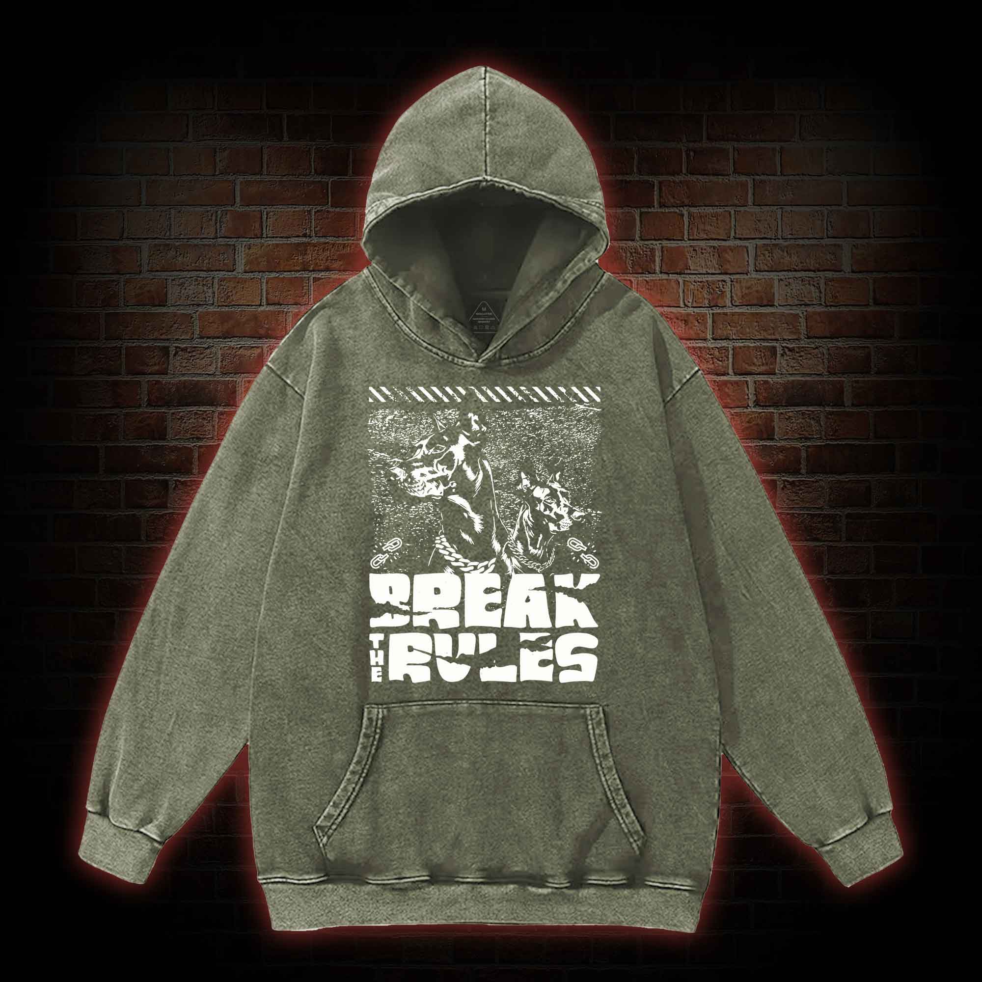 Break the Rules Washed Hoodie