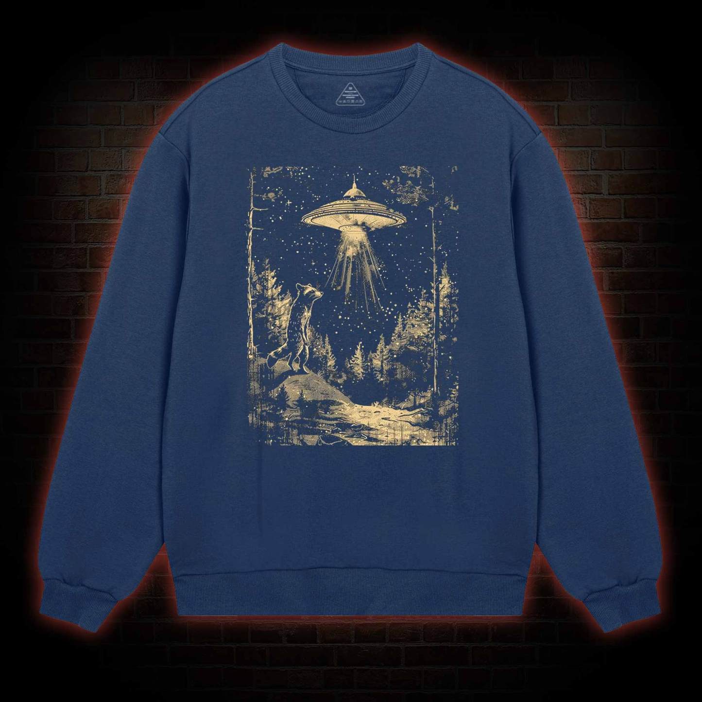  UFO and Raccoons Sweatshirt