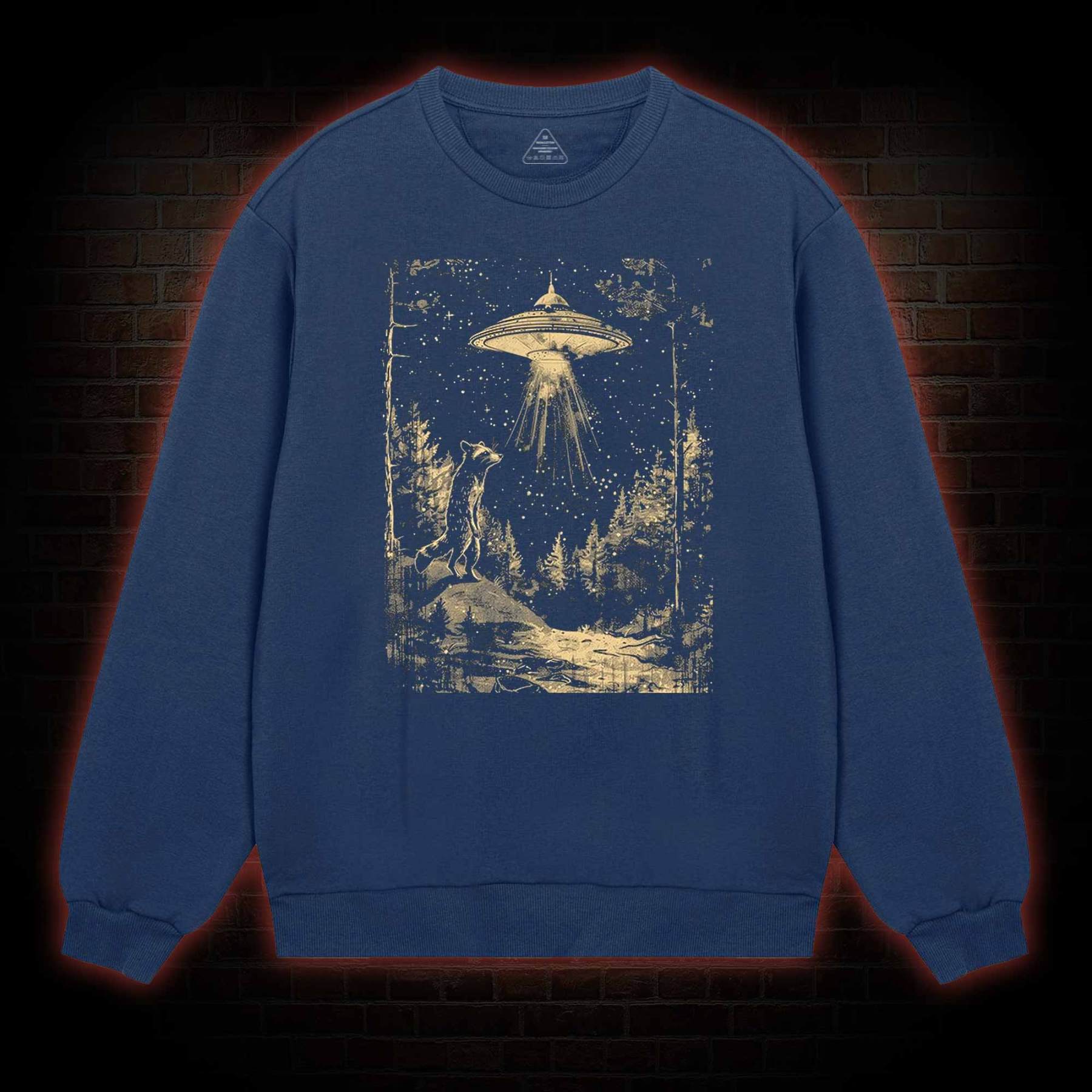  UFO and Raccoons Sweatshirt