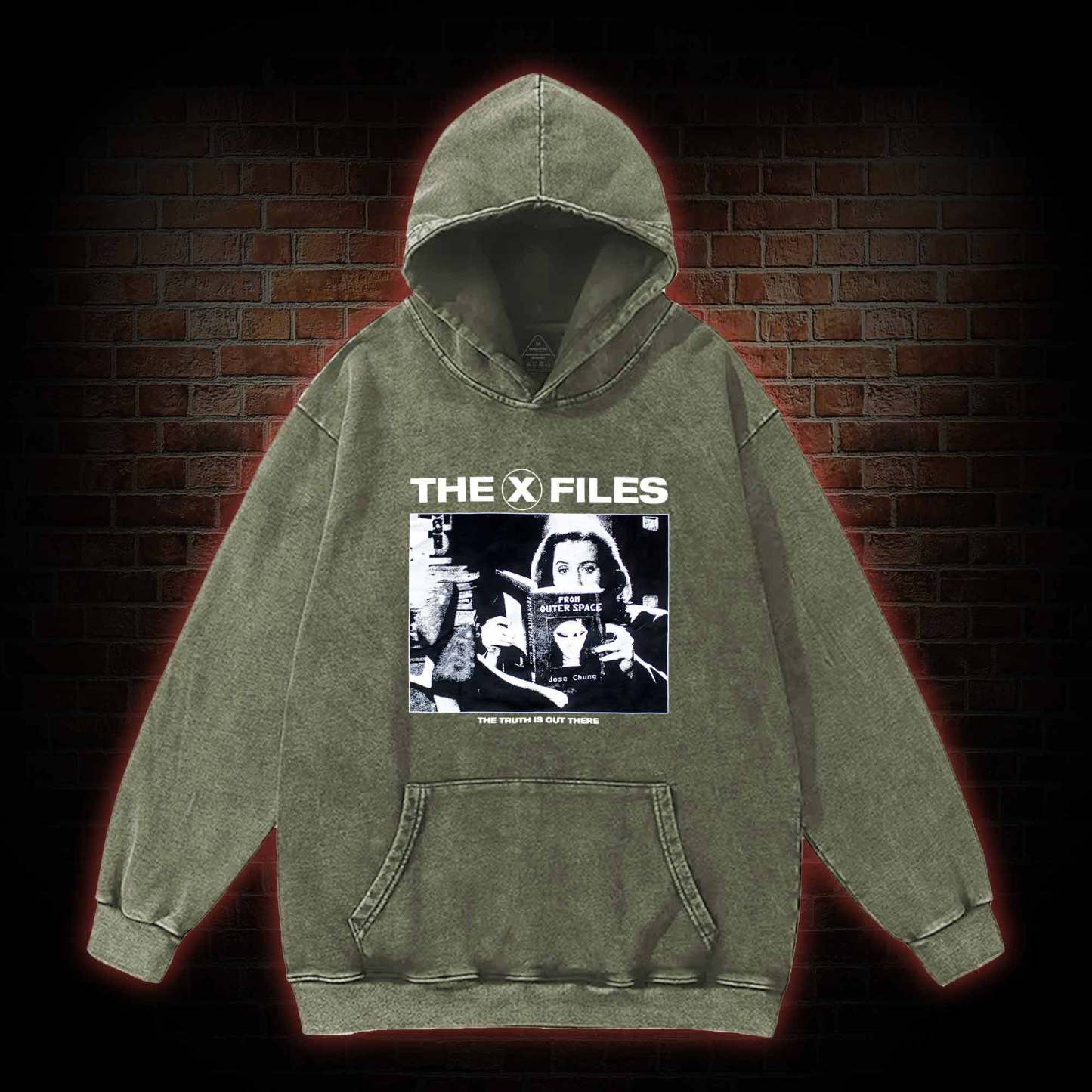 Truth Is Out There Washed Hoodie