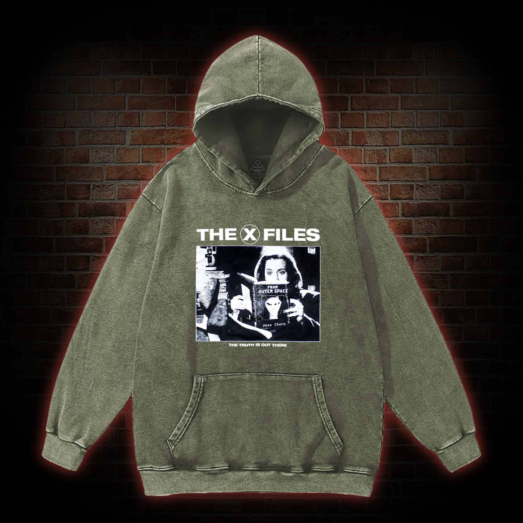 Truth Is Out There Washed Hoodie