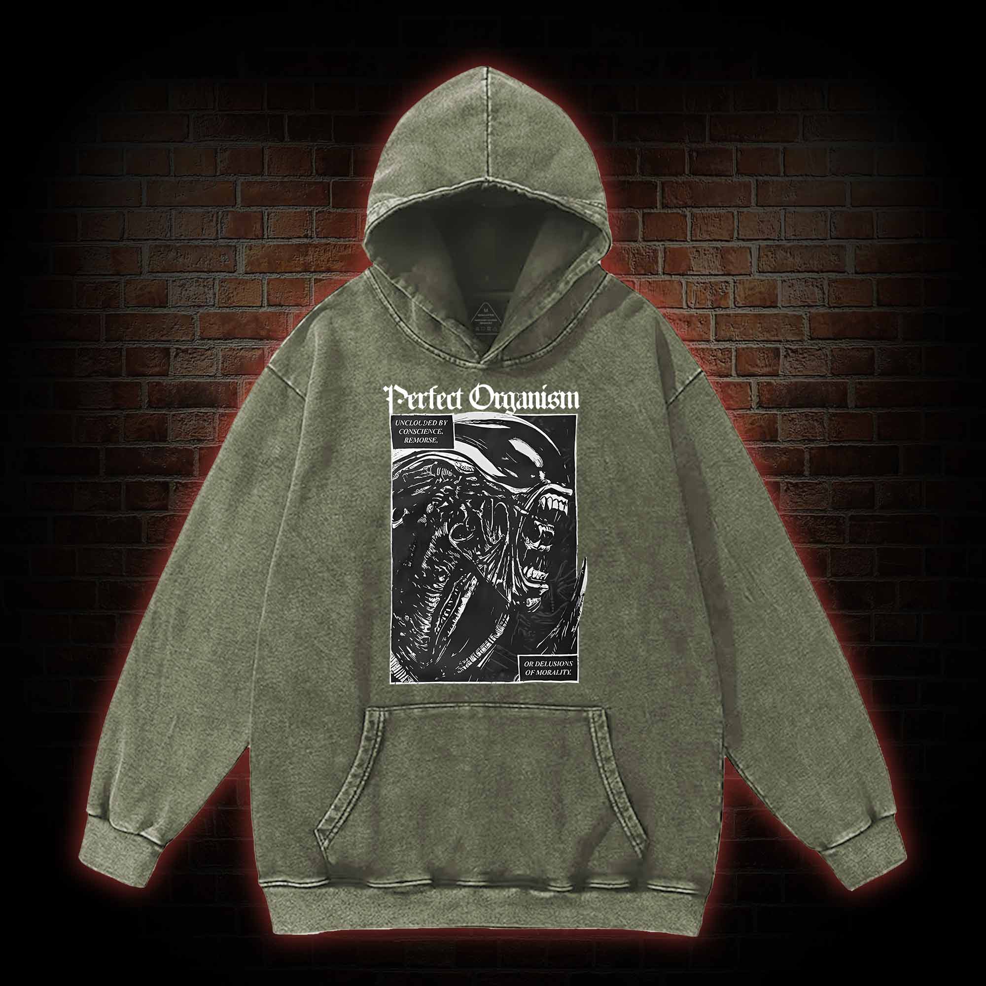 Alien Perfect Organism Washed Hoodie